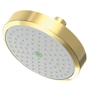 Newport Brass Other Single Function Shower Head