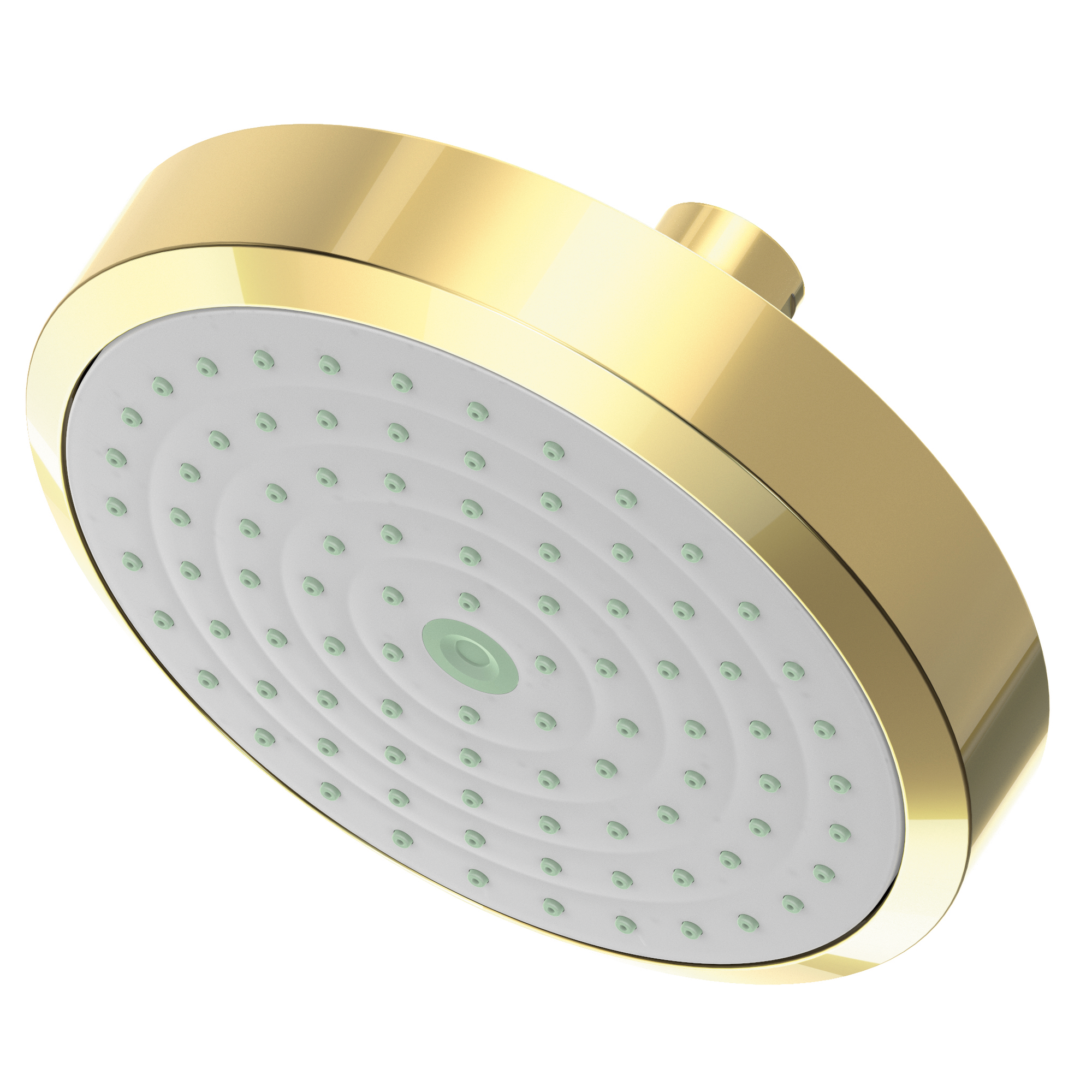 Newport Brass Other Single Function Shower Head