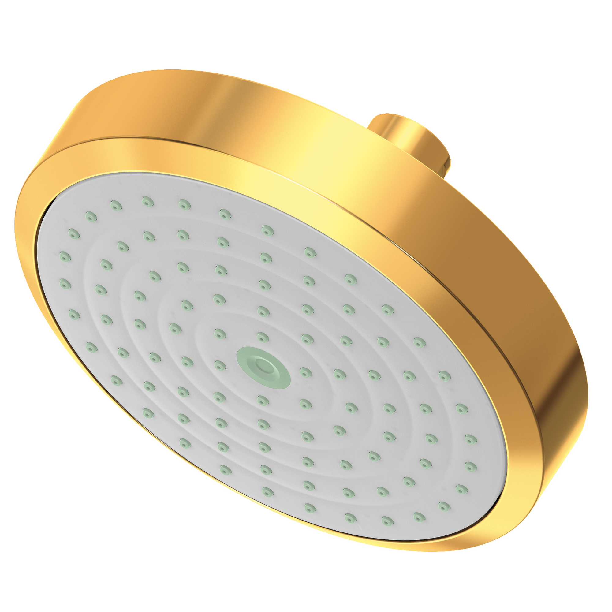 Newport Brass Other Single Function Shower Head