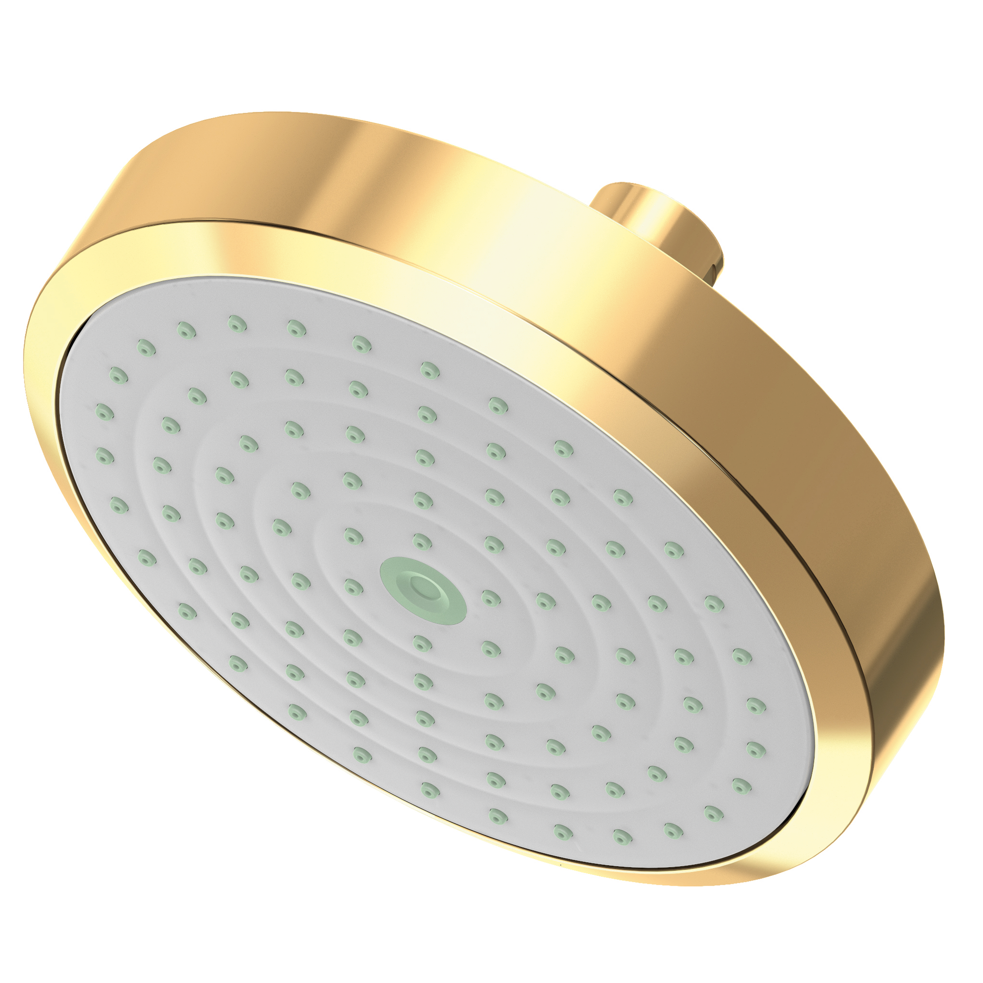 Newport Brass Other Single Function Shower Head
