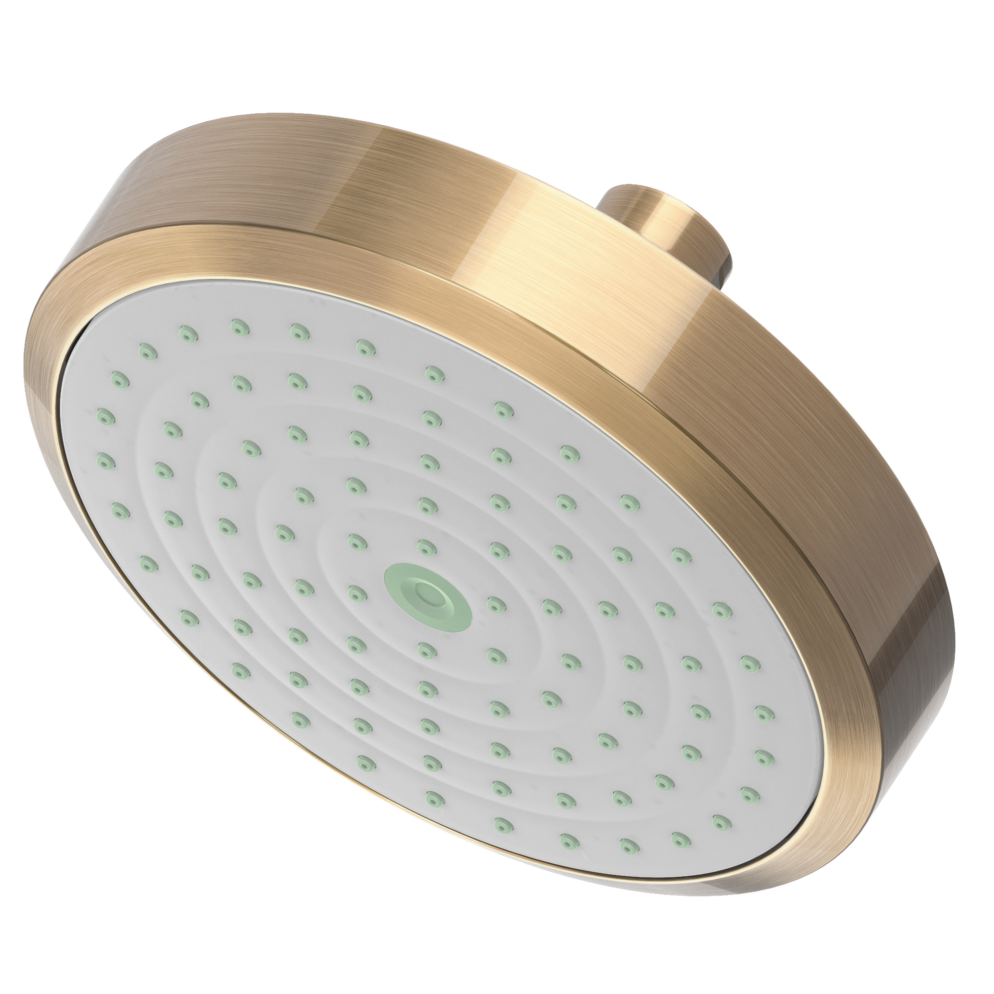 Newport Brass Other Single Function Shower Head