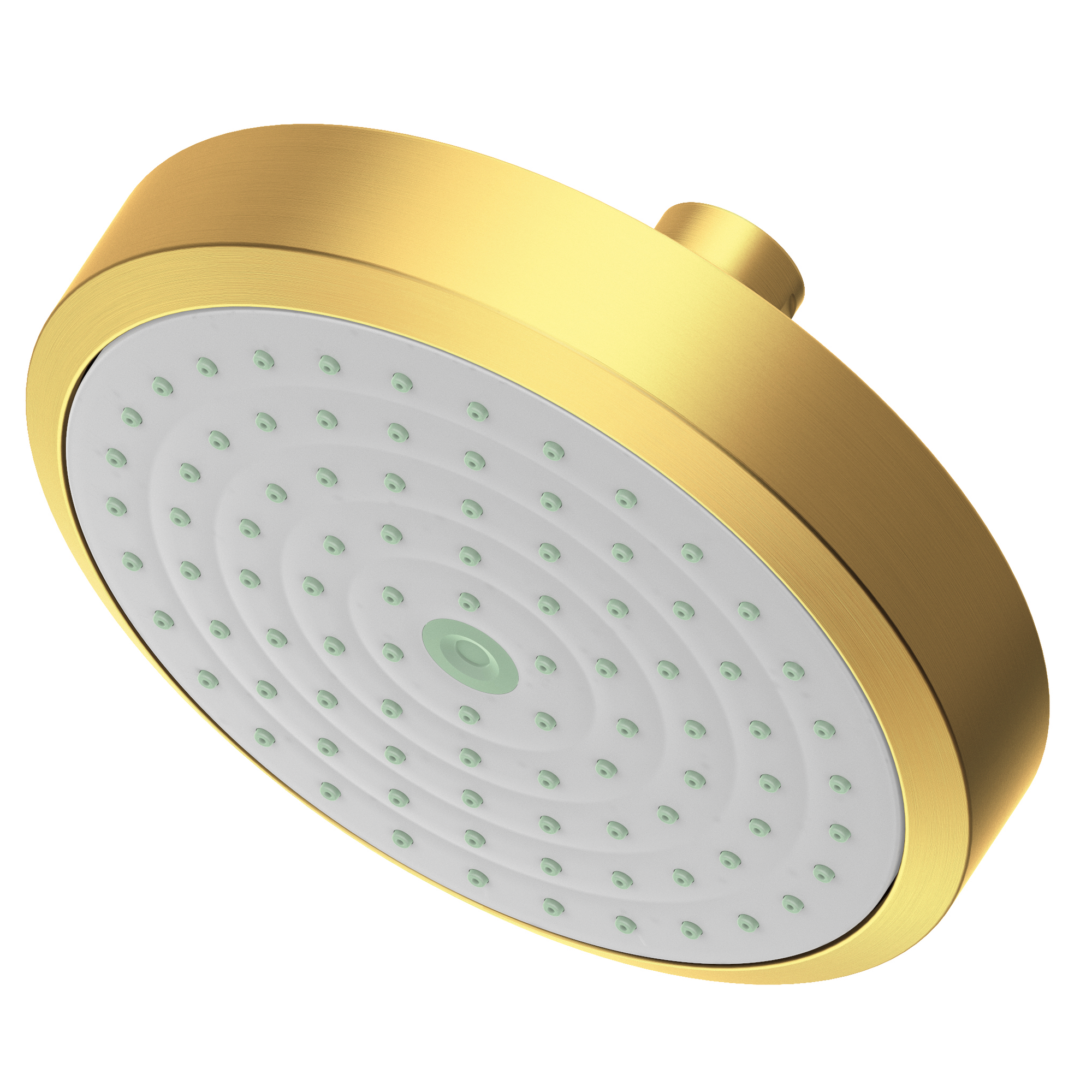 Newport Brass Other Single Function Shower Head