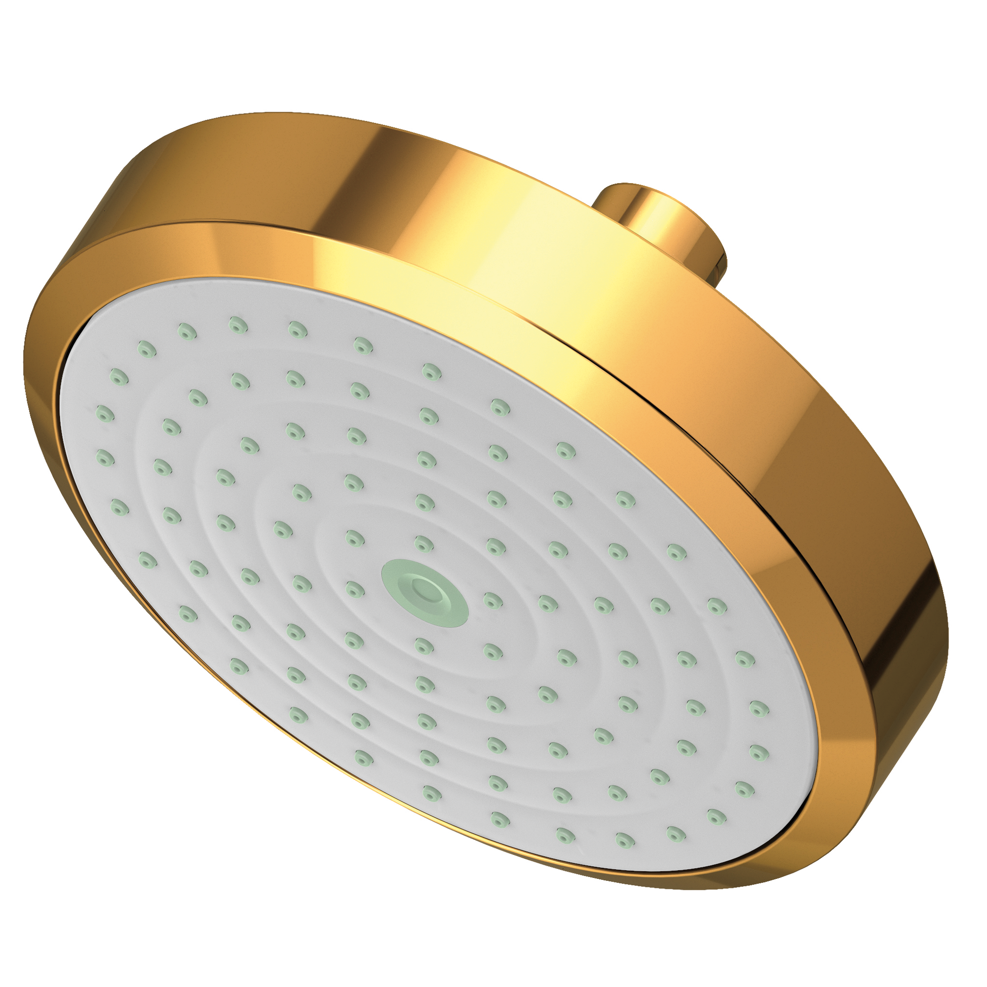 Newport Brass Other Single Function Shower Head