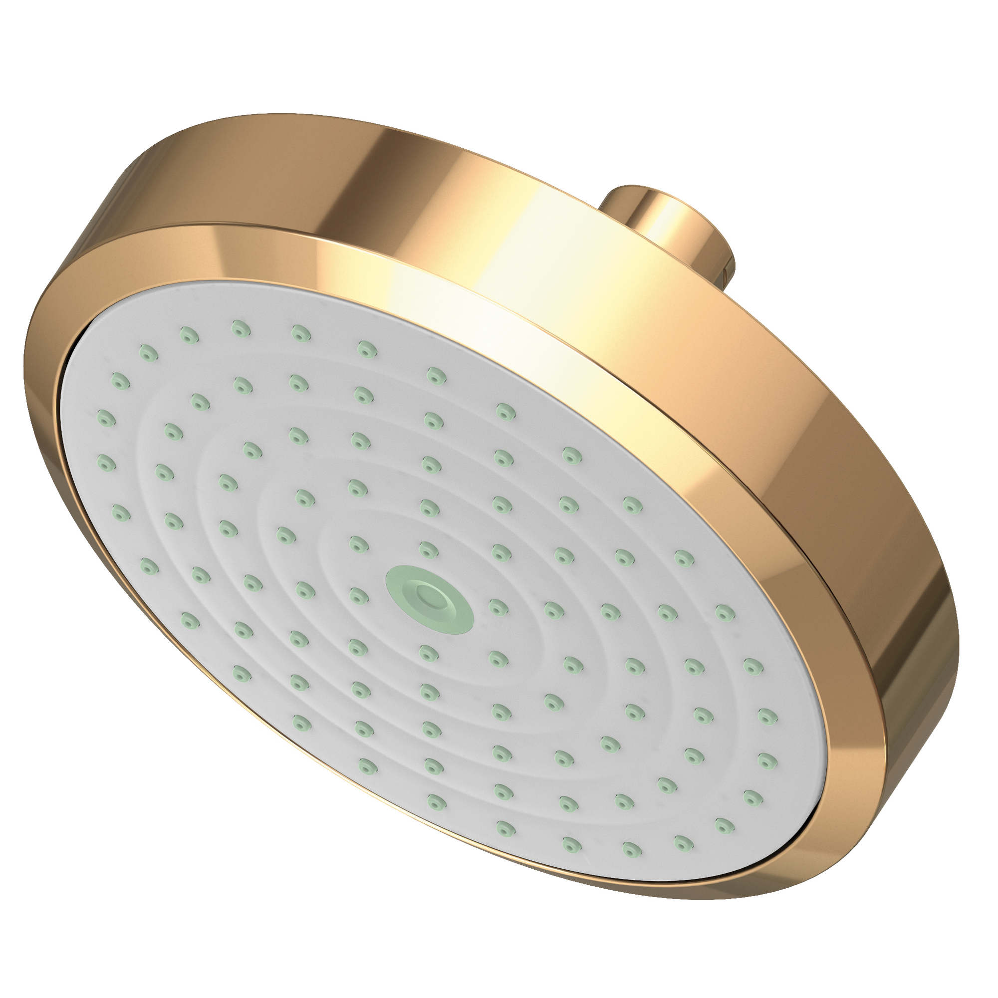 Newport Brass Other Single Function Shower Head