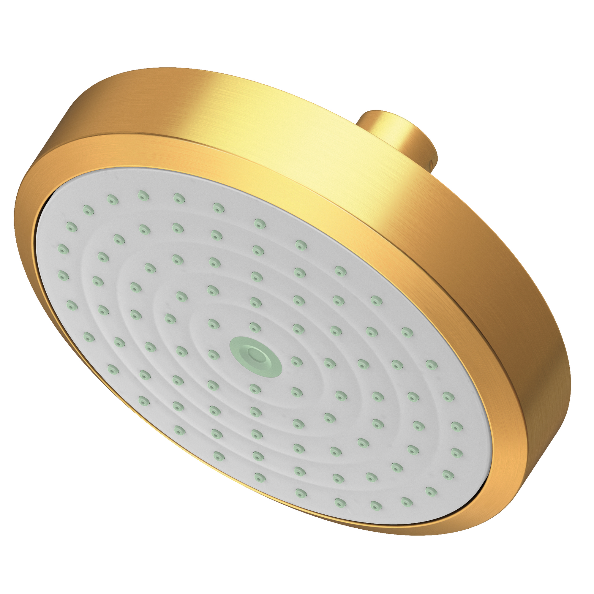 Newport Brass Other Single Function Shower Head