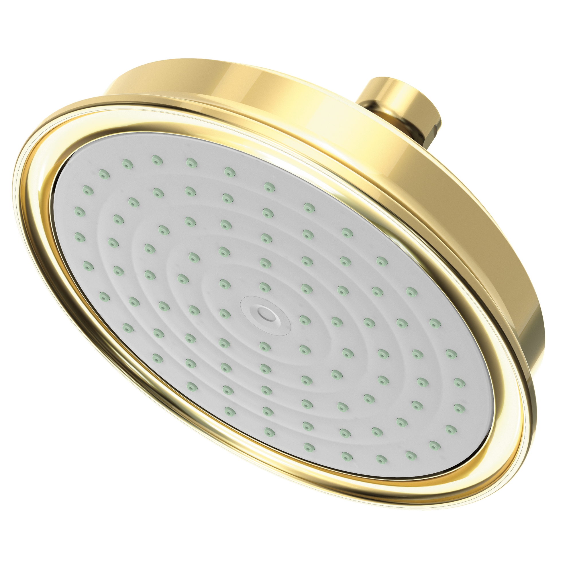 Newport Brass Other Single Function Shower Head