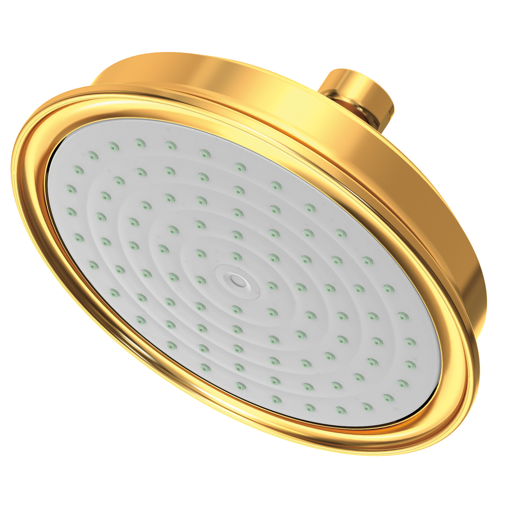 Newport Brass Other Single Function Shower Head