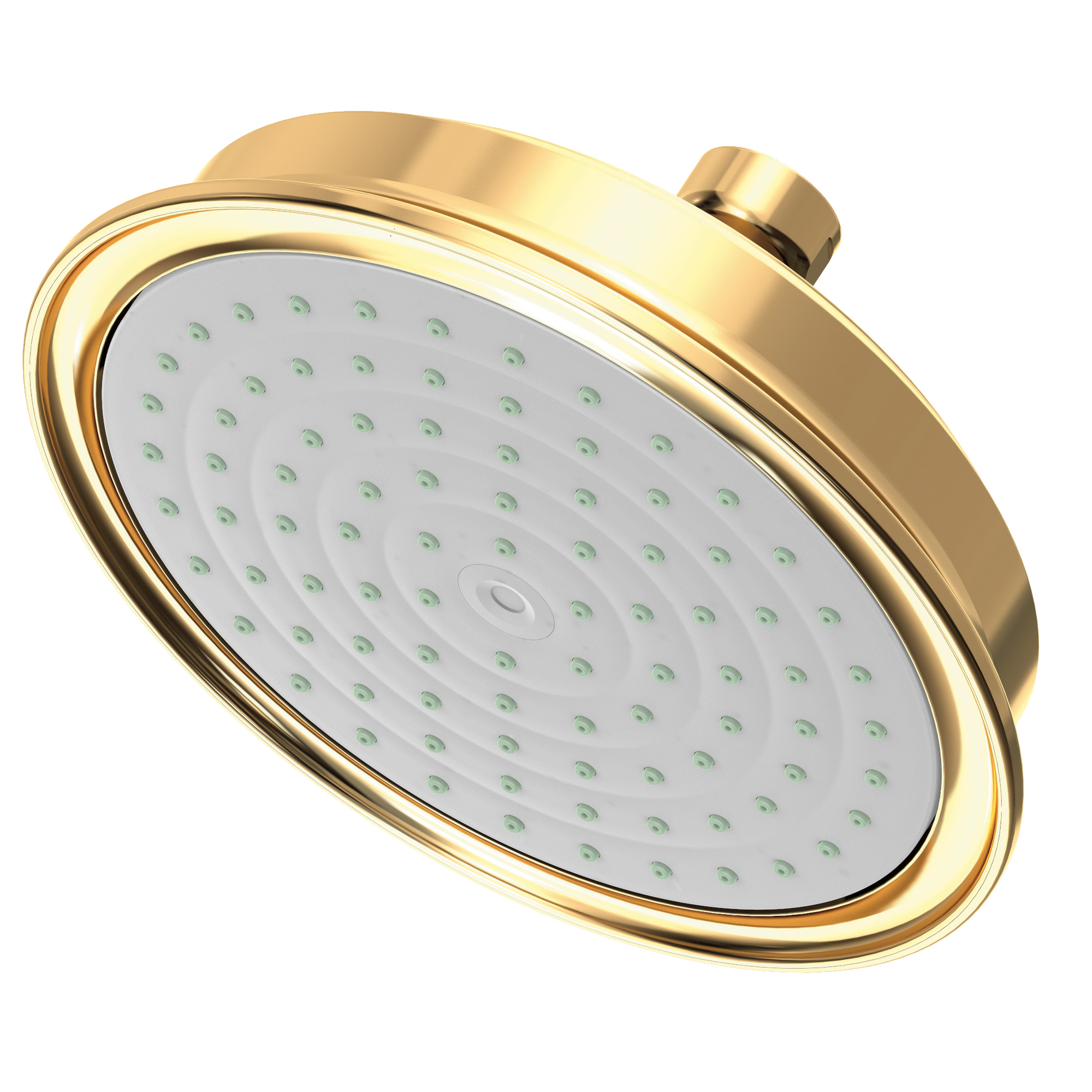 Newport Brass Other Single Function Shower Head