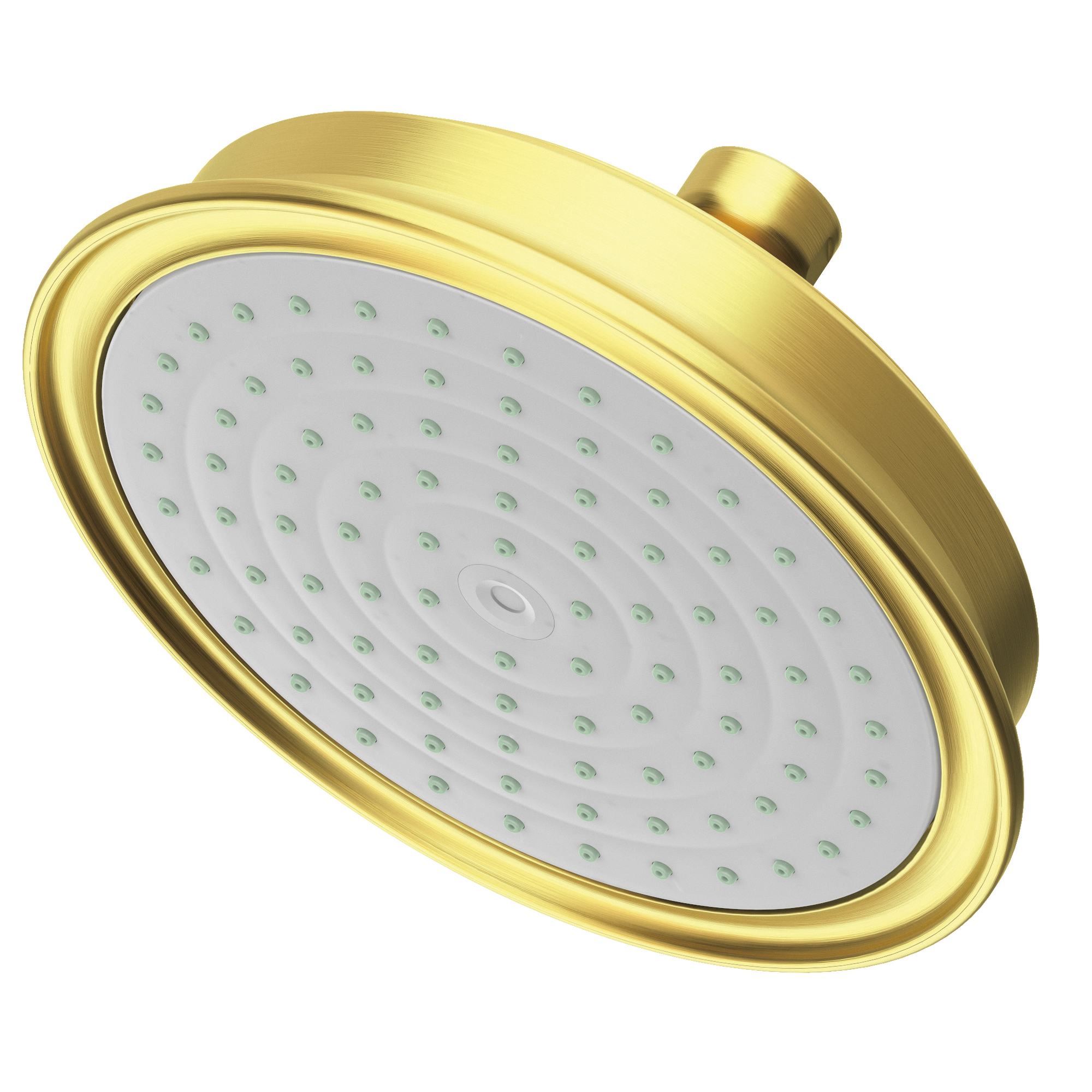 Newport Brass Other Single Function Shower Head