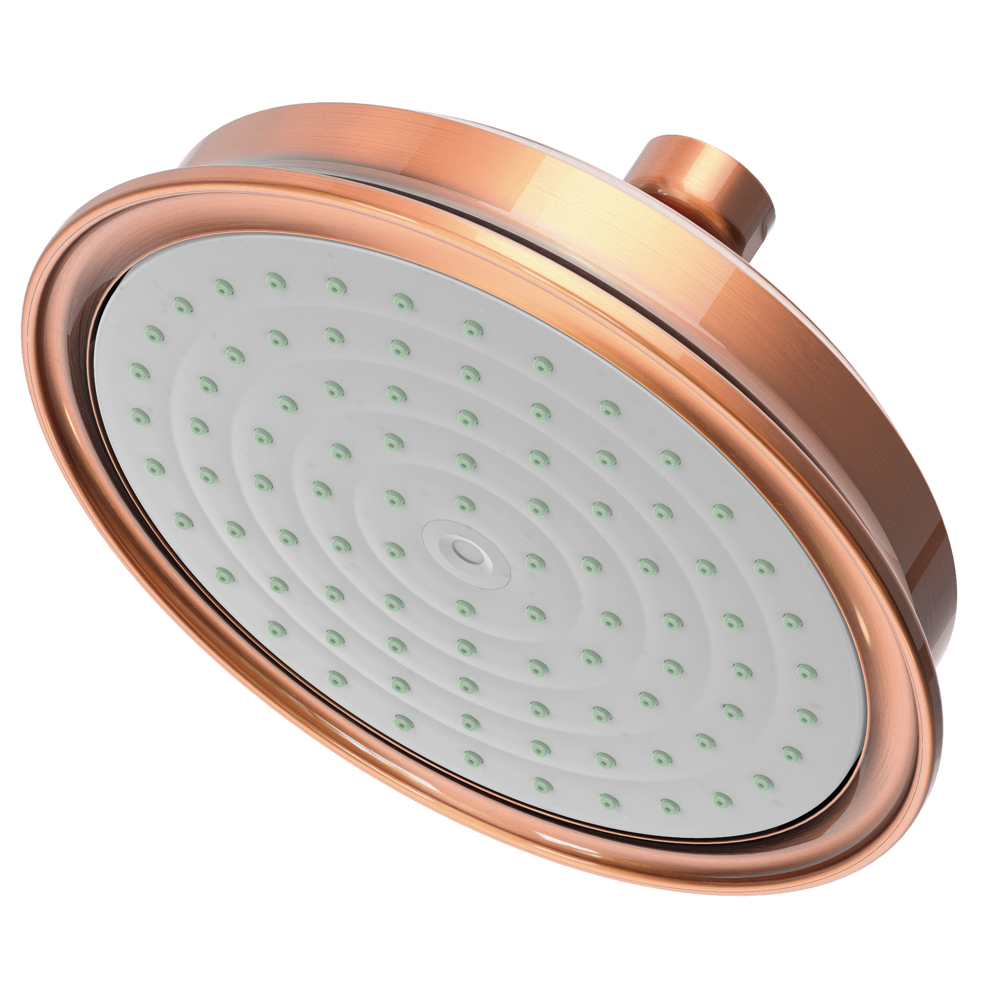 Newport Brass Other Single Function Shower Head