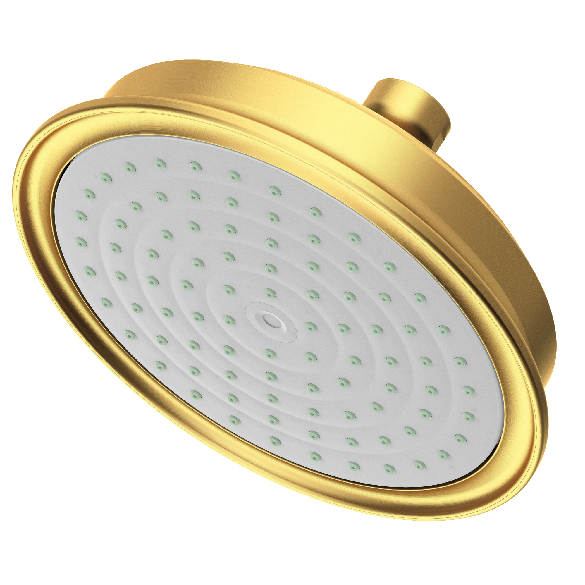 Newport Brass Other Single Function Shower Head