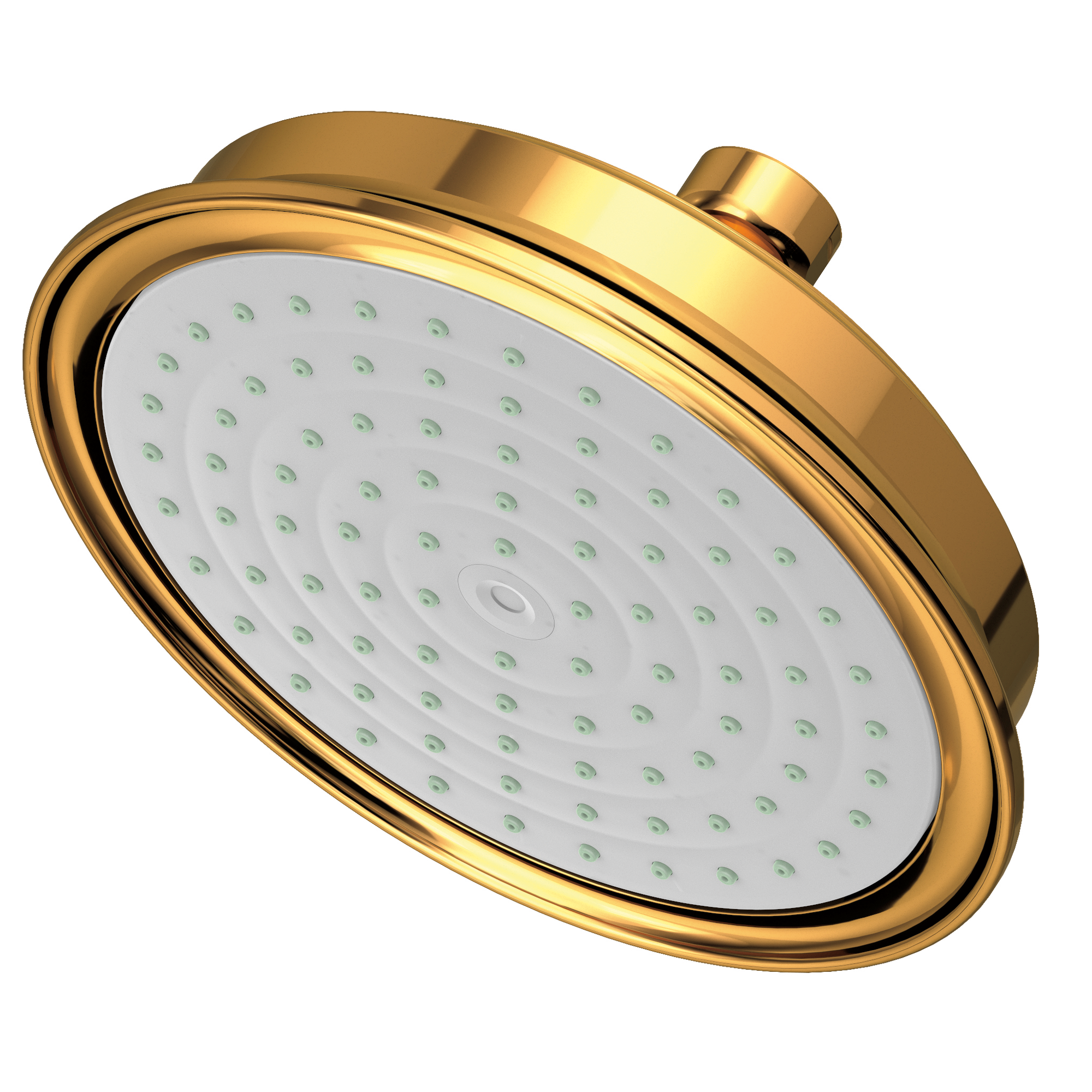Newport Brass Other Single Function Shower Head