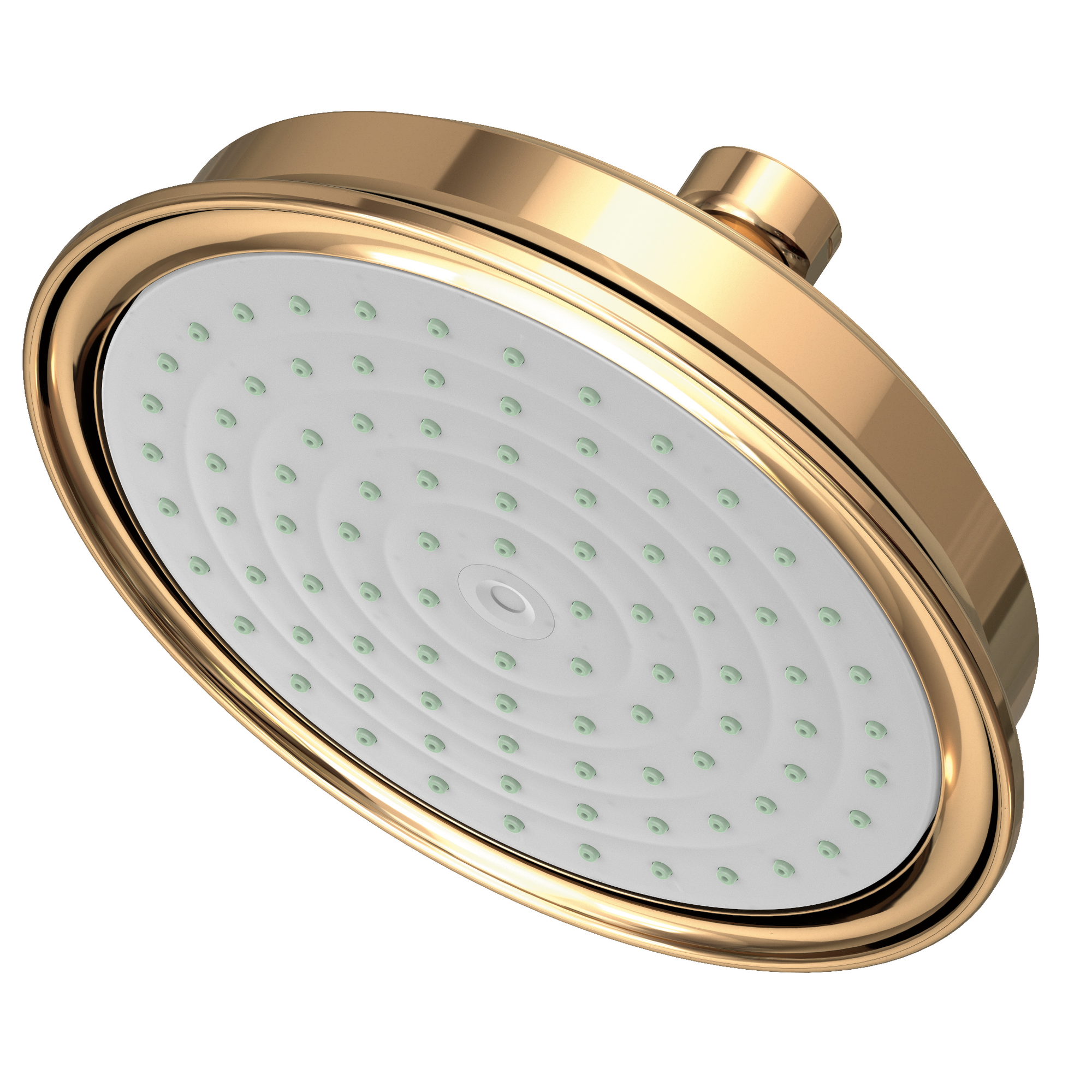 Newport Brass Other Single Function Shower Head