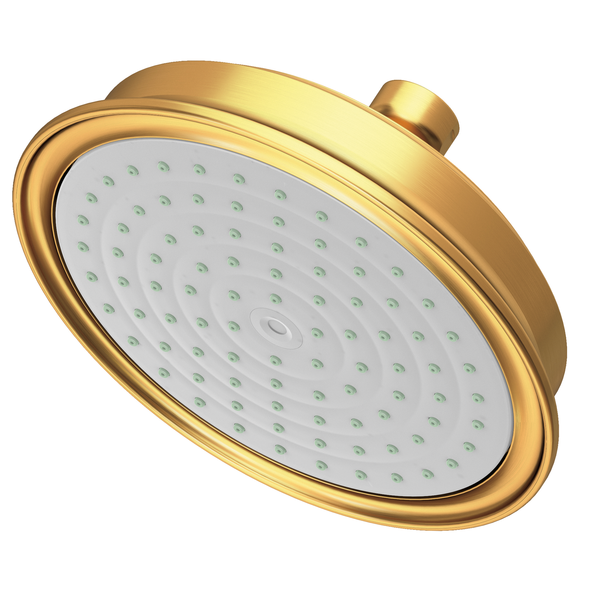 Newport Brass Other Single Function Shower Head