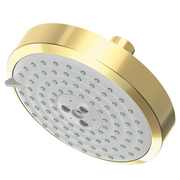 Newport Brass Other Multifunction Showerhead
