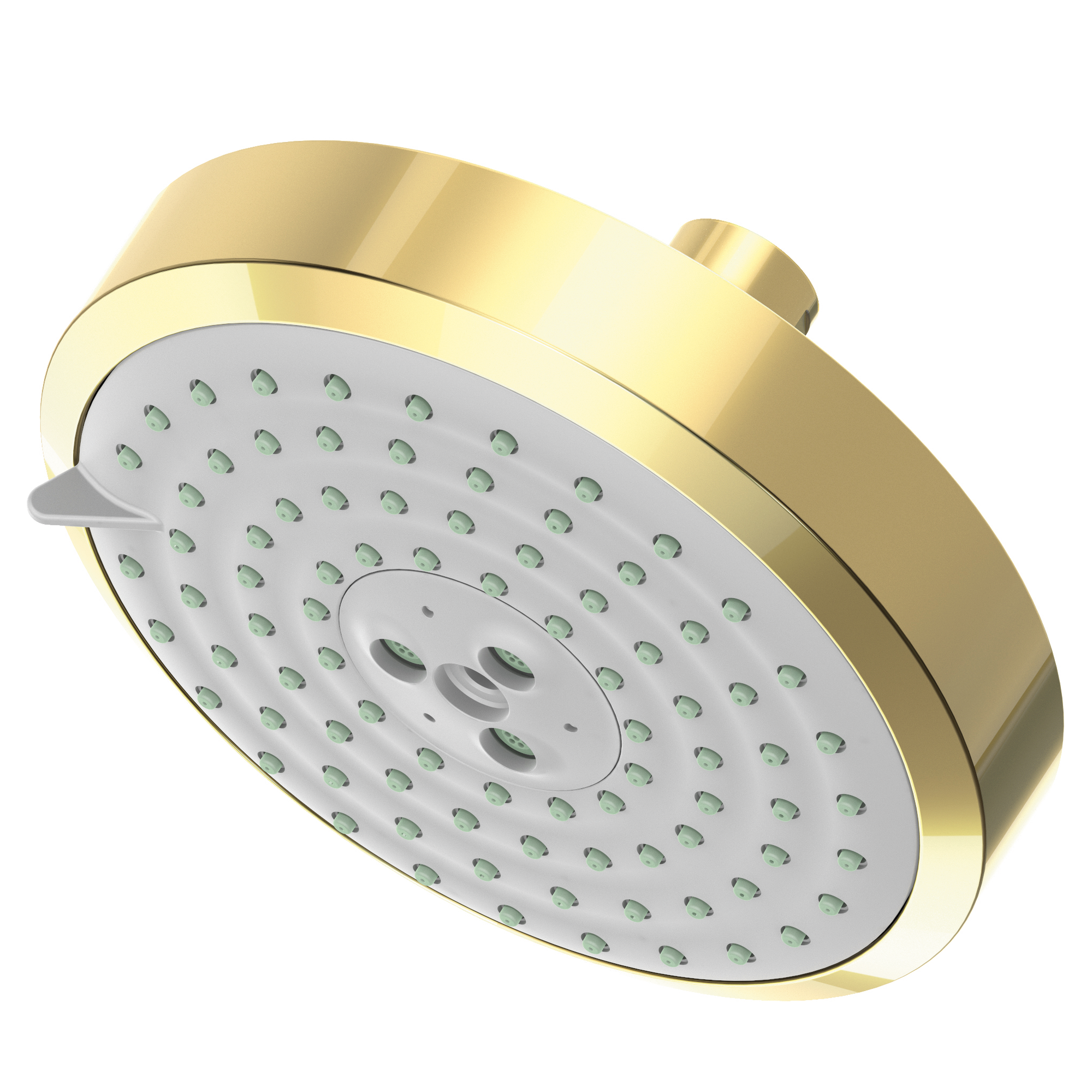 Newport Brass Other Multifunction Showerhead