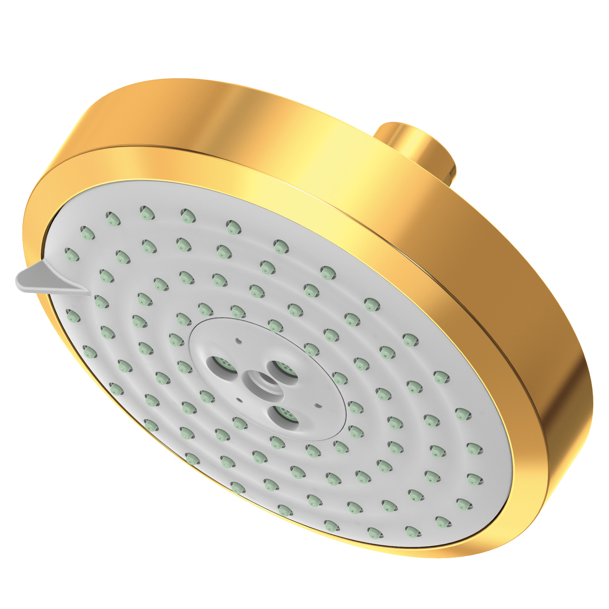 Newport Brass Other Multifunction Showerhead
