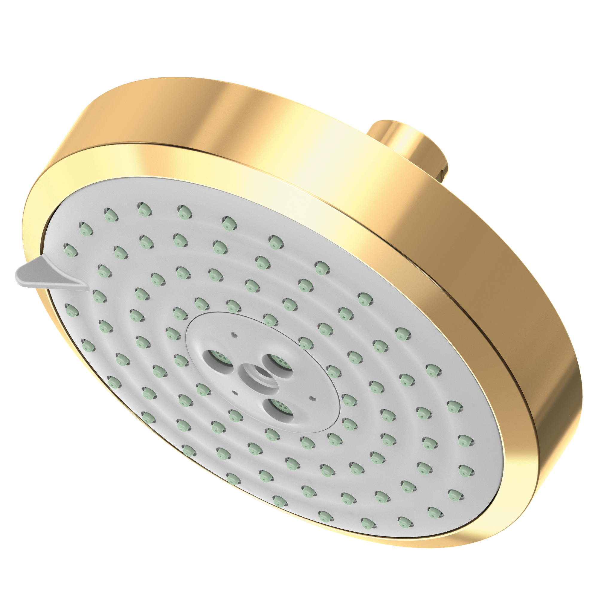 Newport Brass Other Multifunction Showerhead