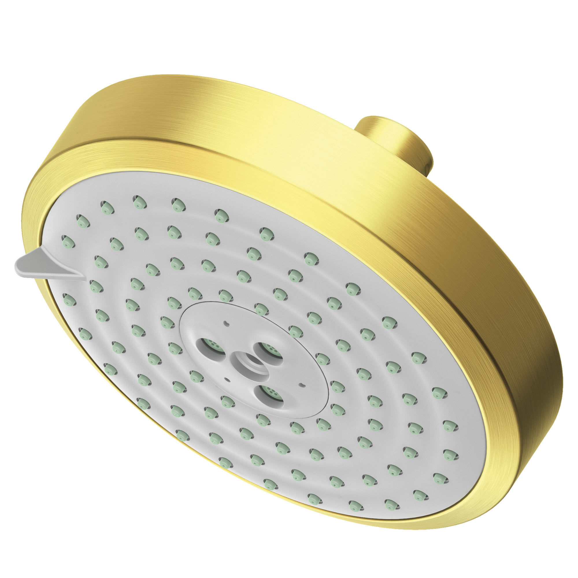 Newport Brass Other Multifunction Showerhead