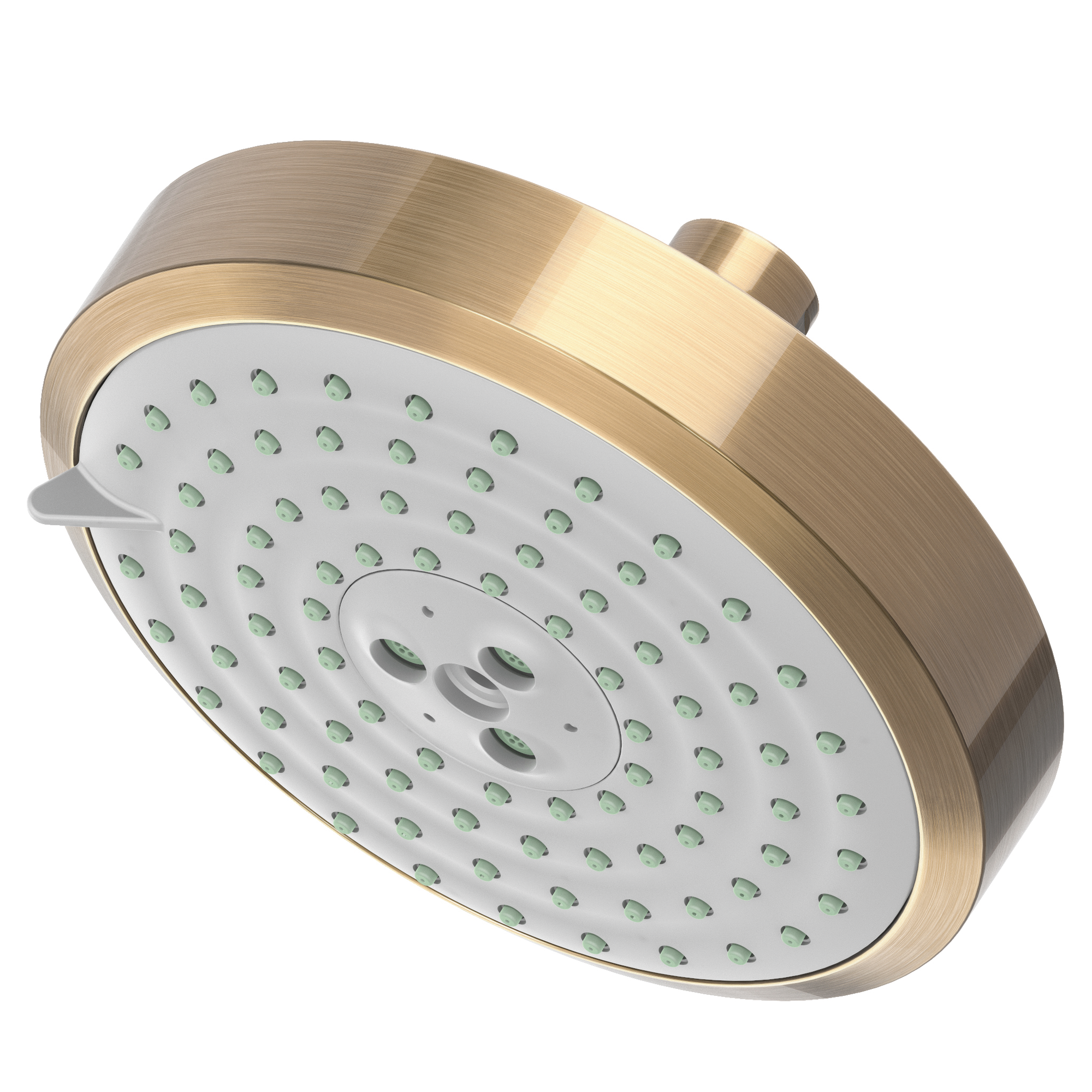 Newport Brass Other Multifunction Showerhead