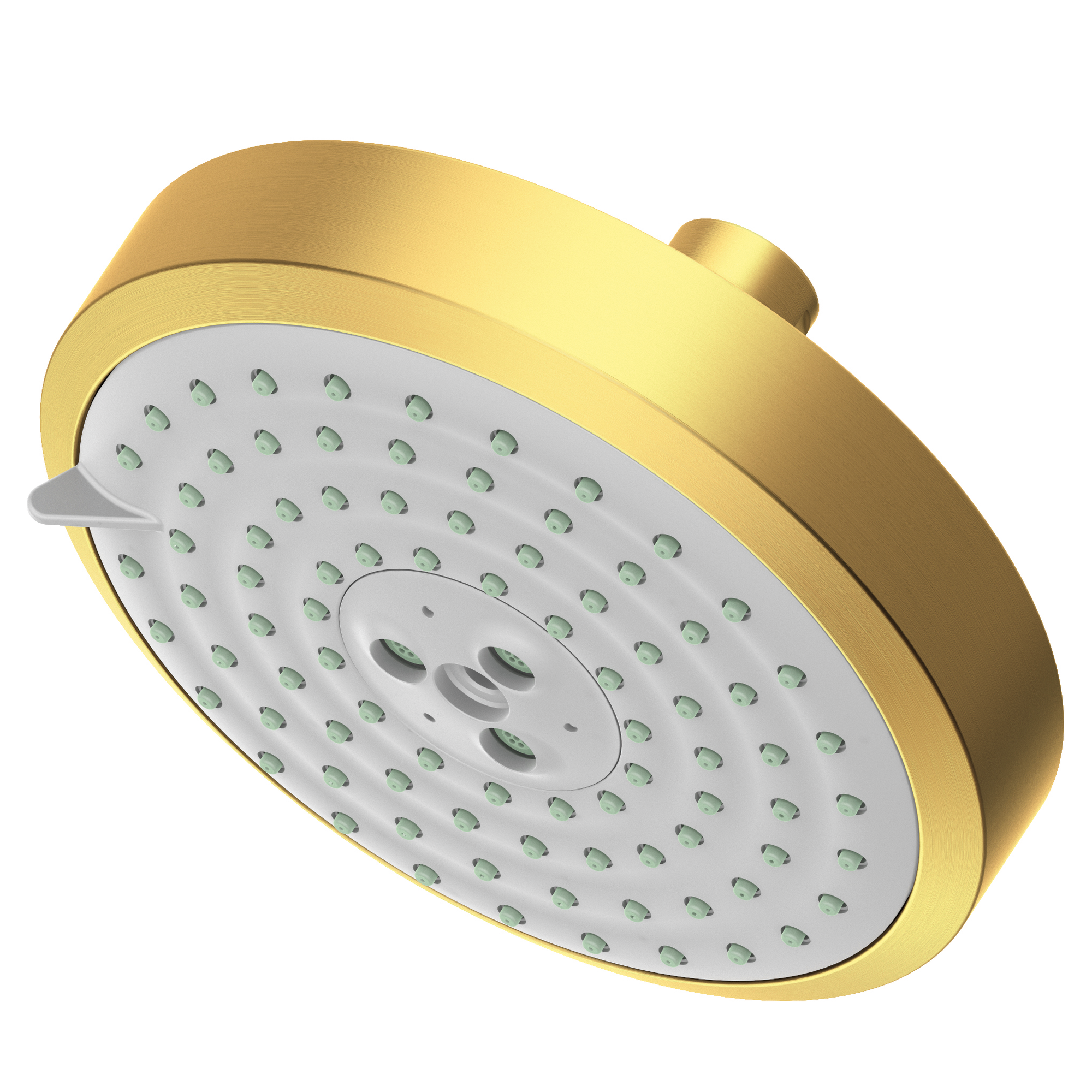Newport Brass Other Multifunction Showerhead