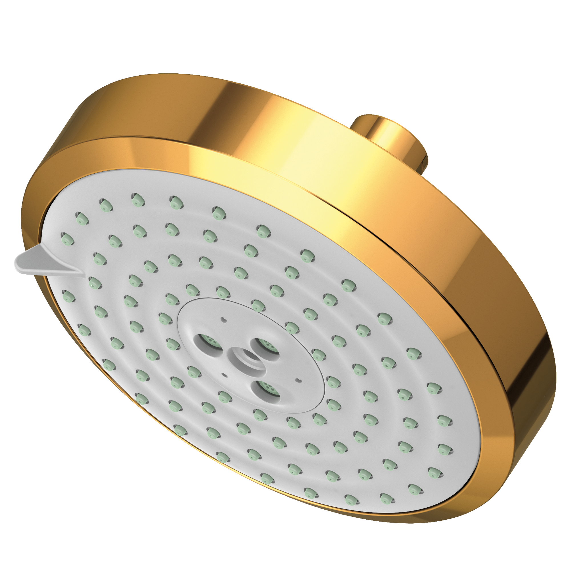 Newport Brass Other Multifunction Showerhead