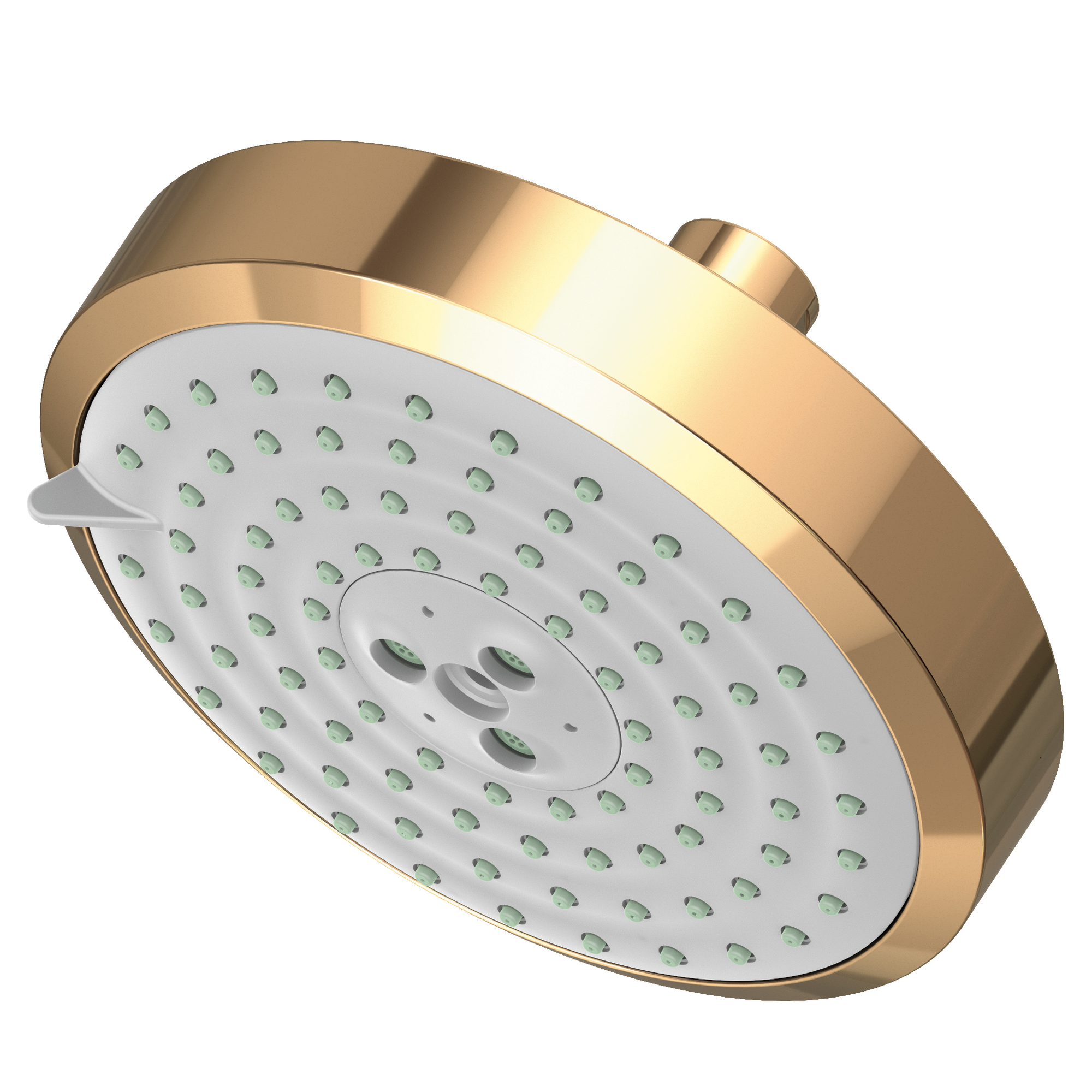 Newport Brass Other Multifunction Showerhead