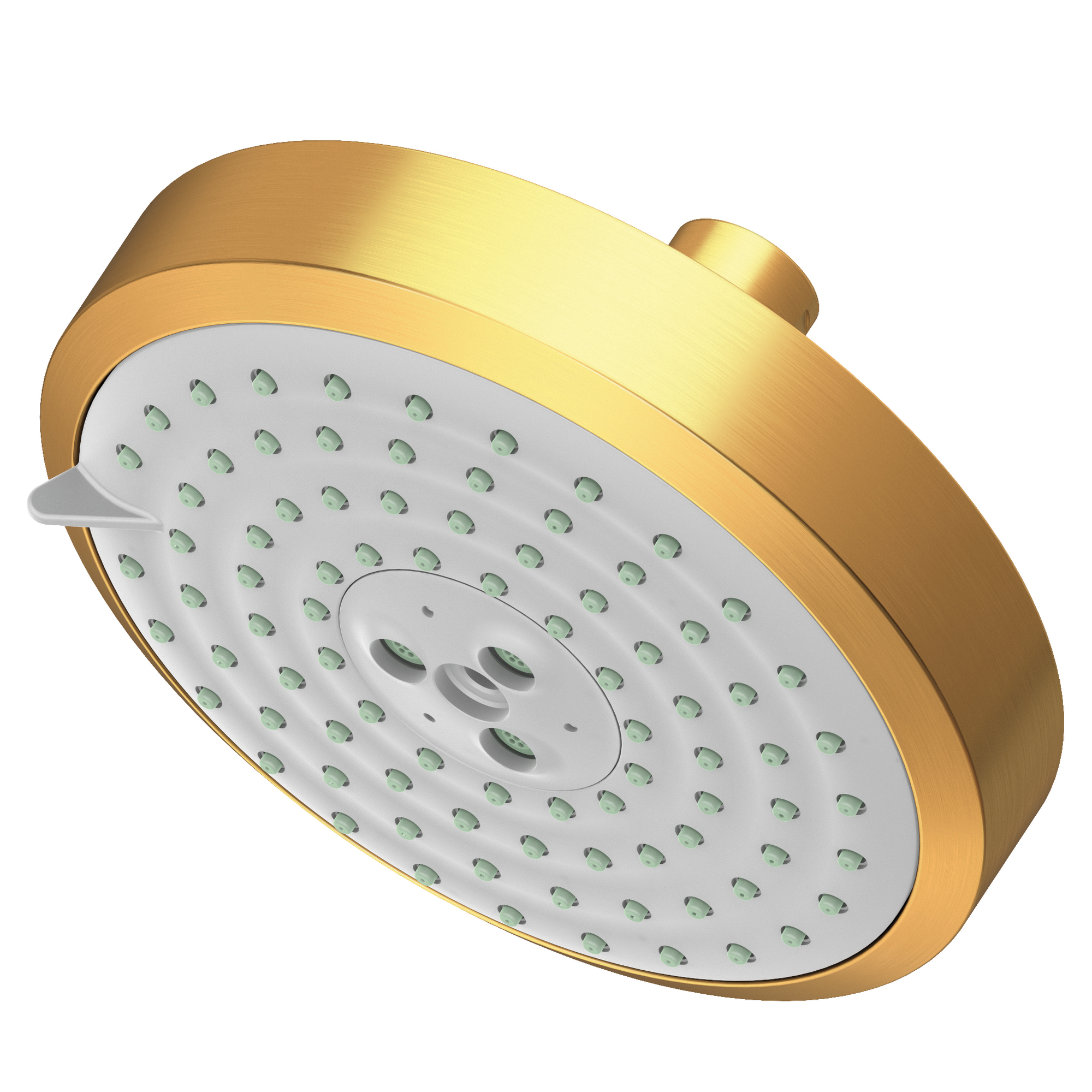 Newport Brass Other Multifunction Showerhead