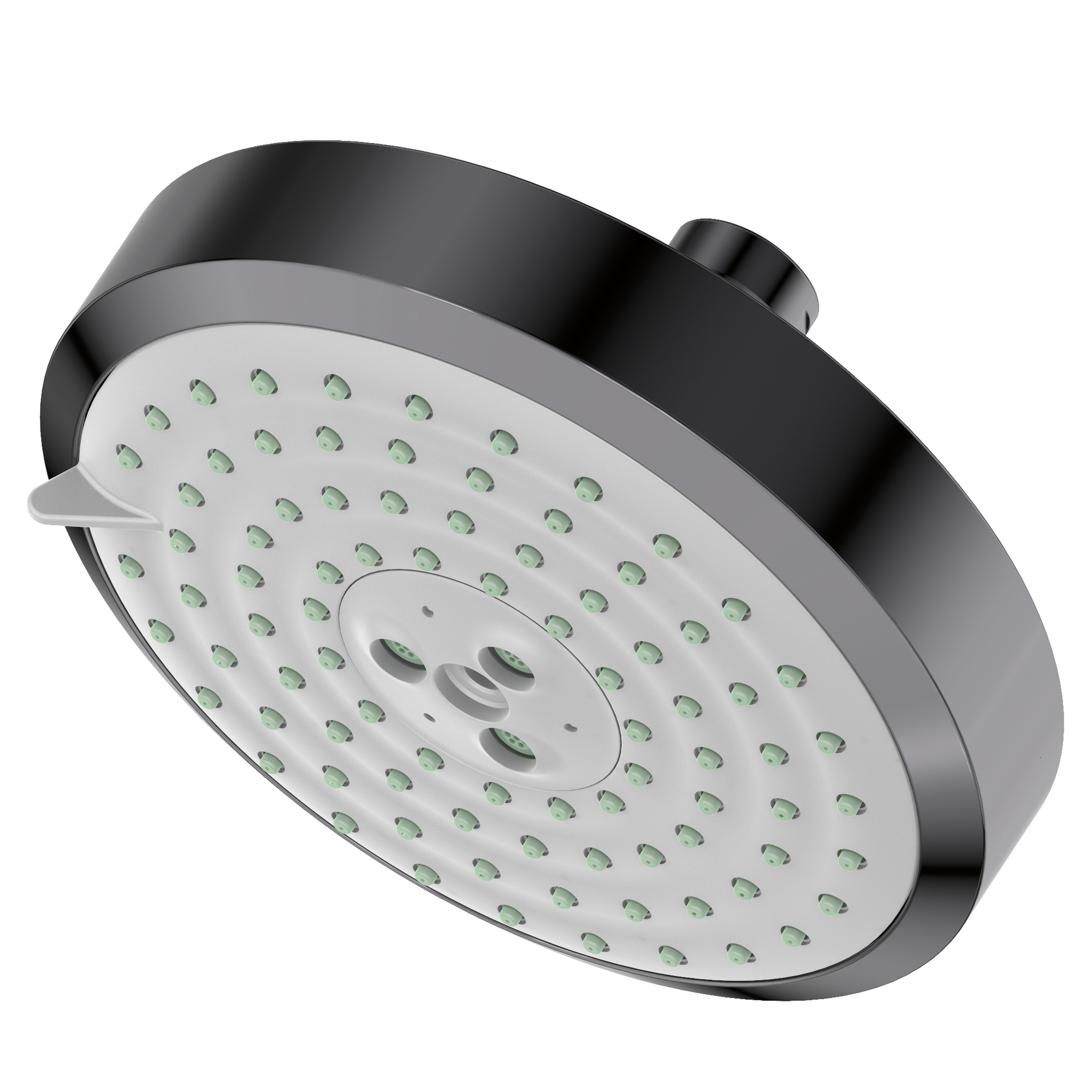 Newport Brass Other Multifunction Showerhead