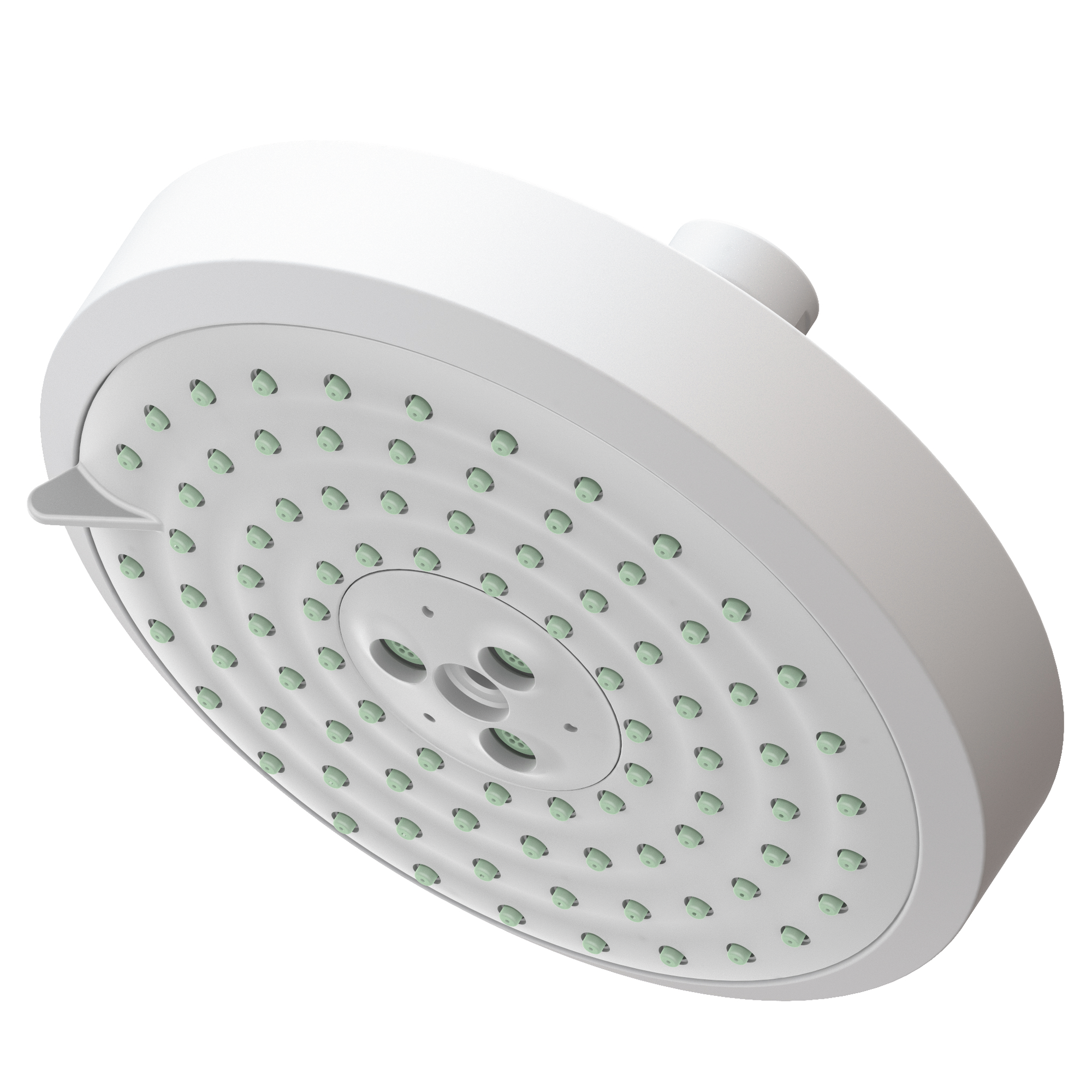 Newport Brass Other Multifunction Showerhead