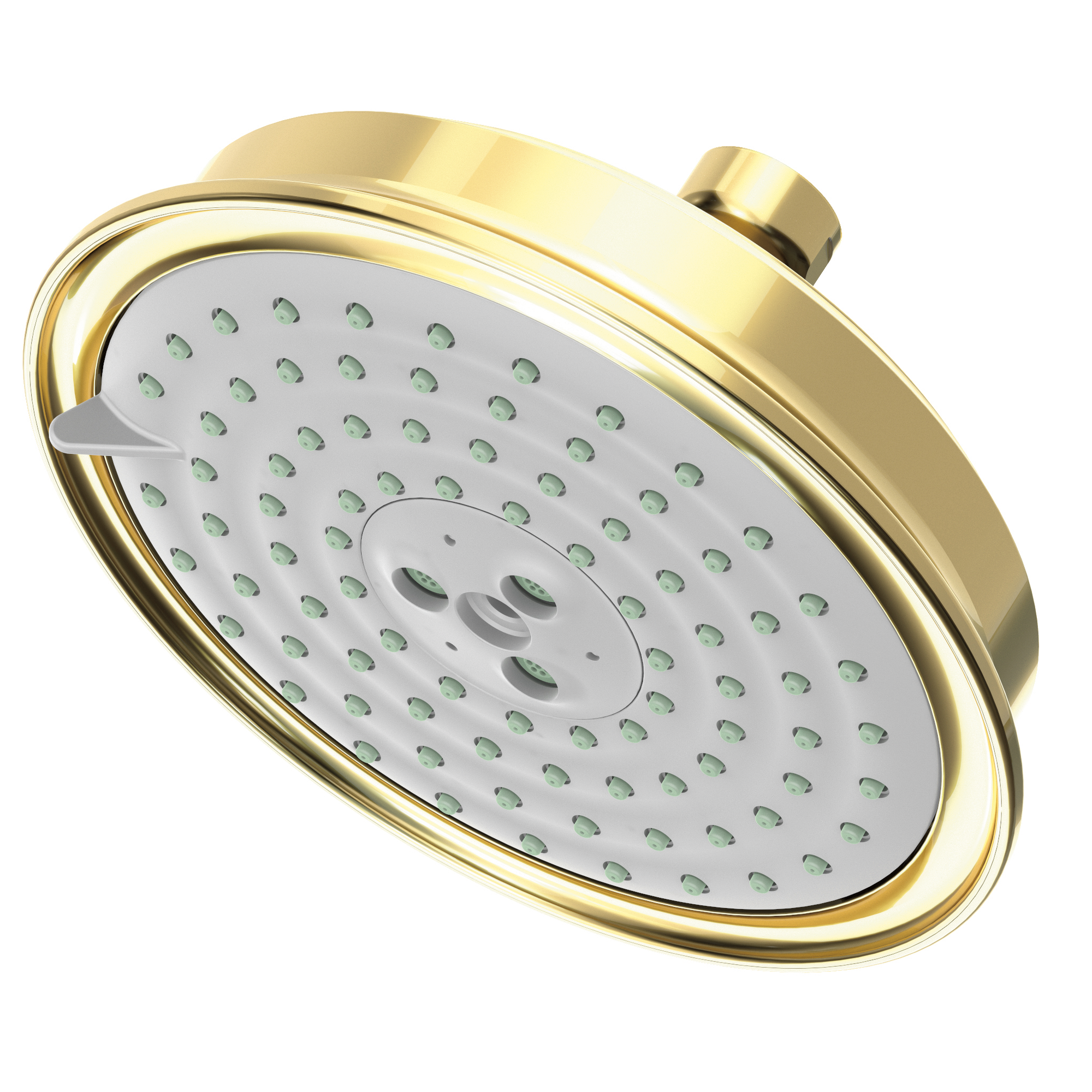 Newport Brass Other Multifunction Showerhead