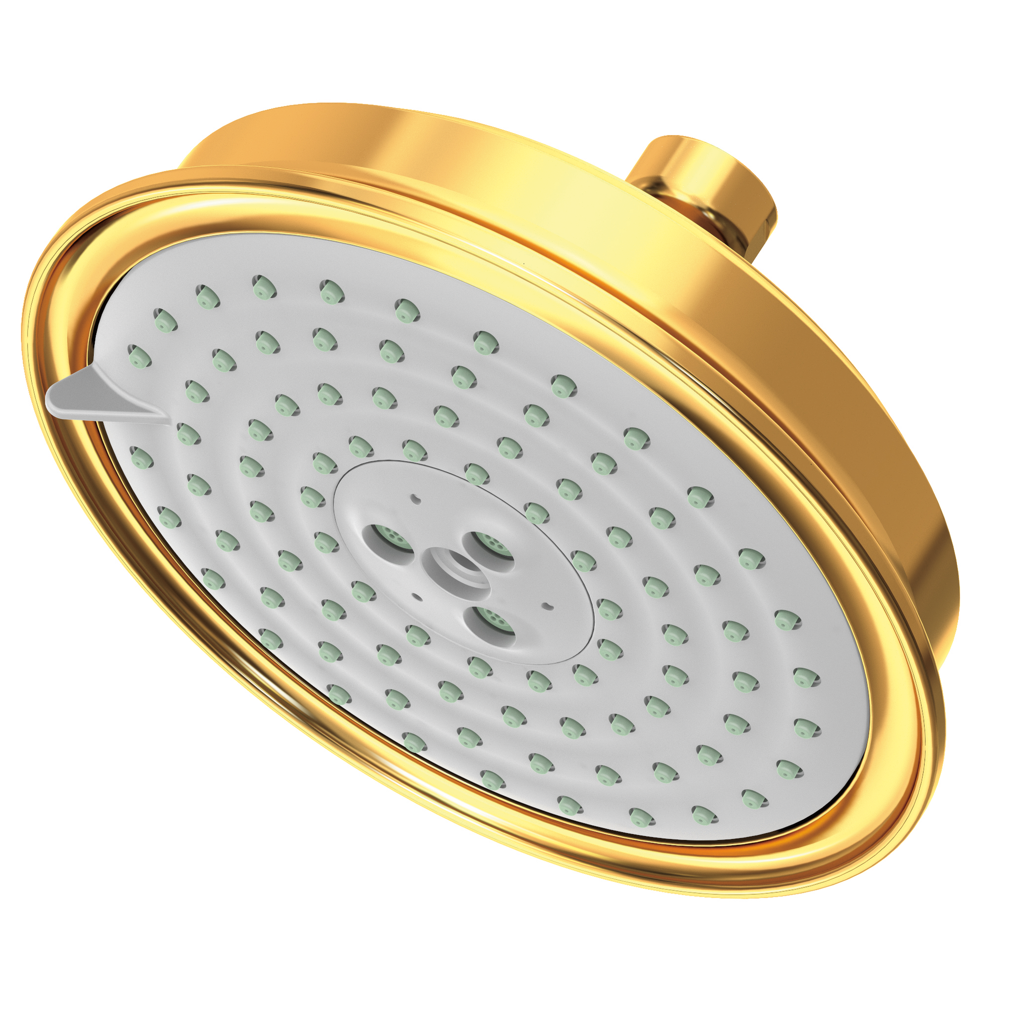 Newport Brass Other Multifunction Showerhead