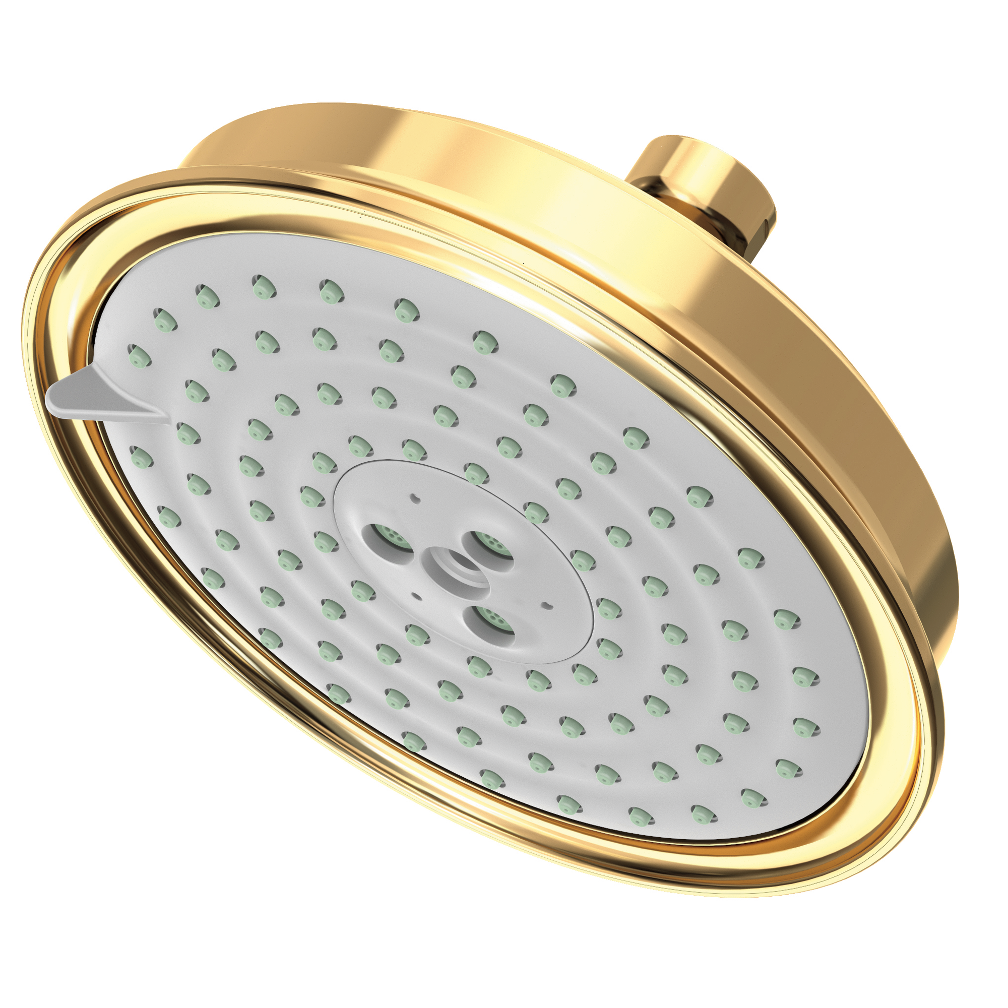 Newport Brass Other Multifunction Showerhead