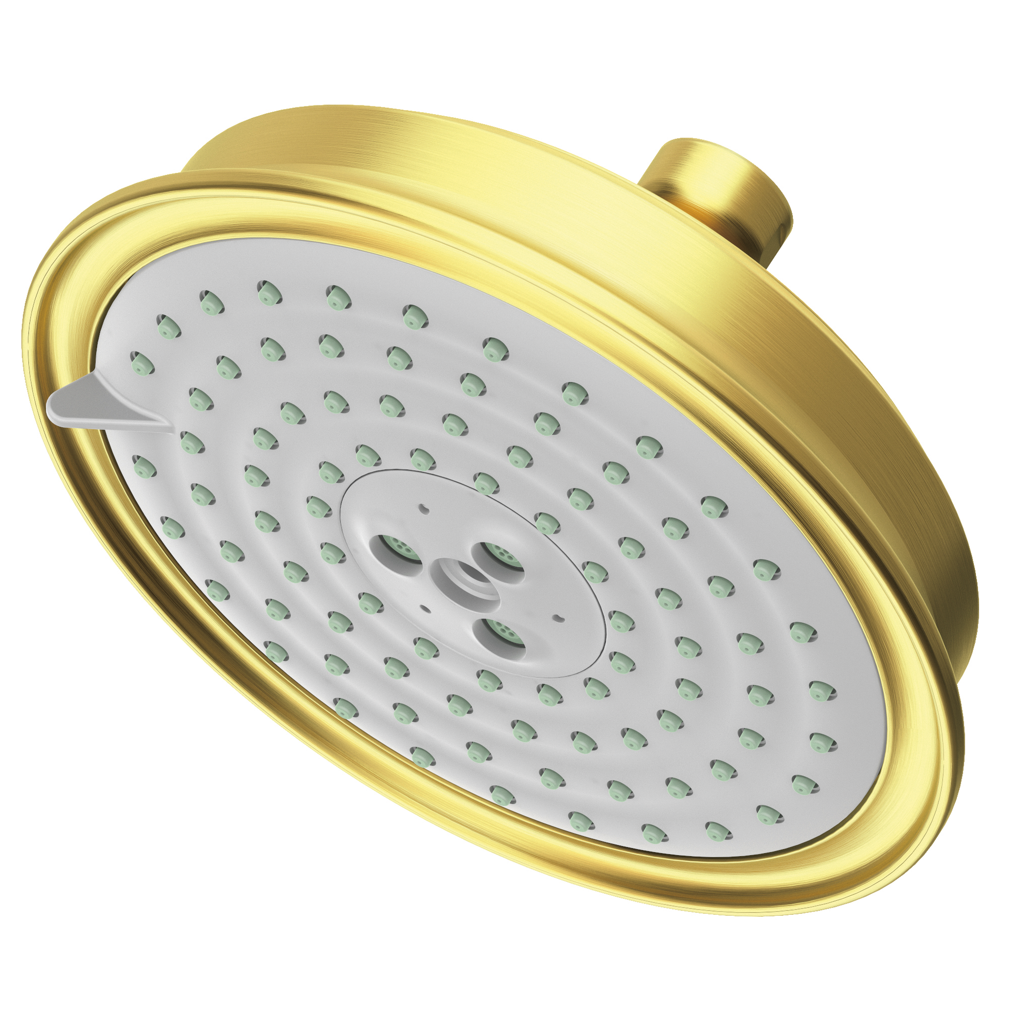 Newport Brass Other Multifunction Showerhead