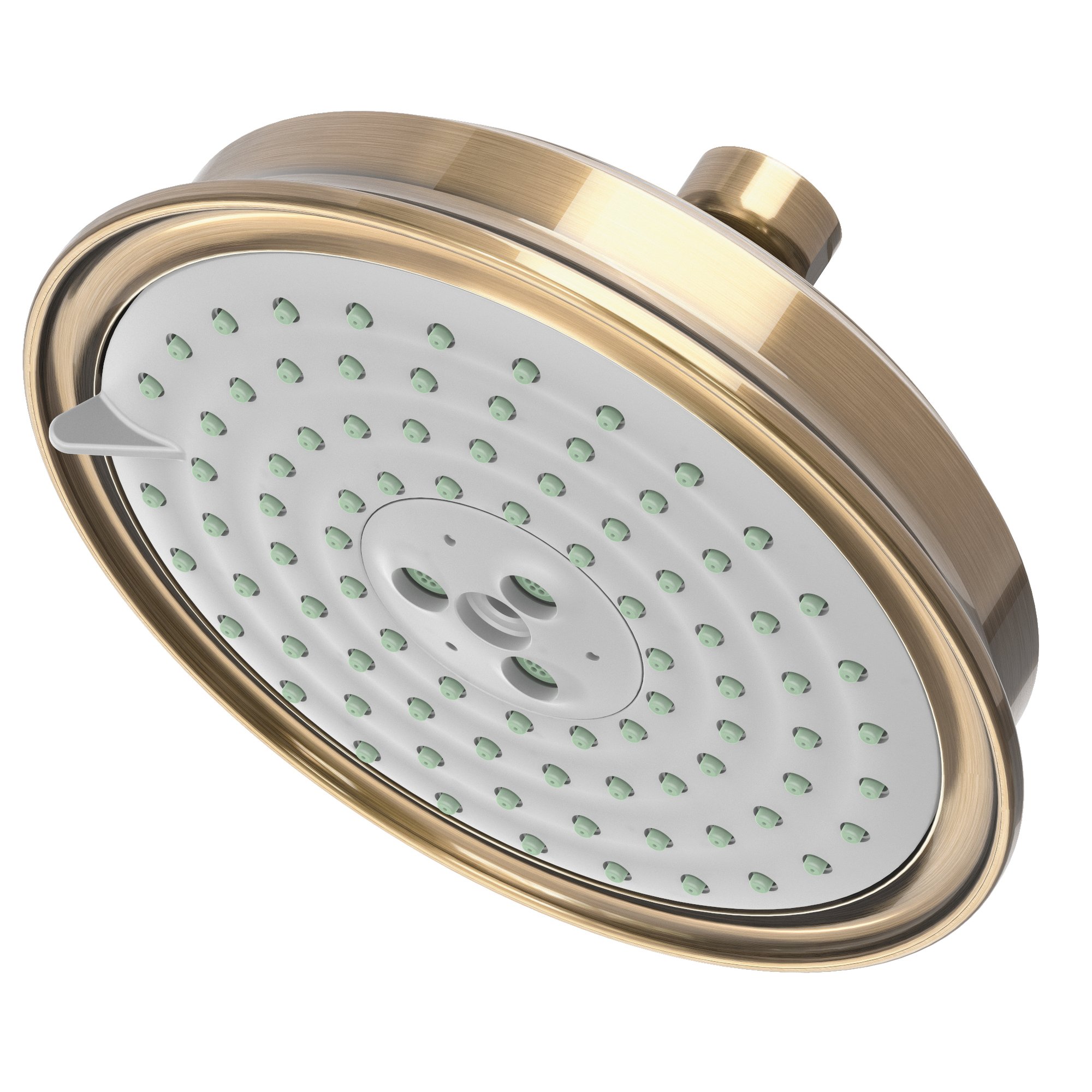 Newport Brass Other Multifunction Showerhead