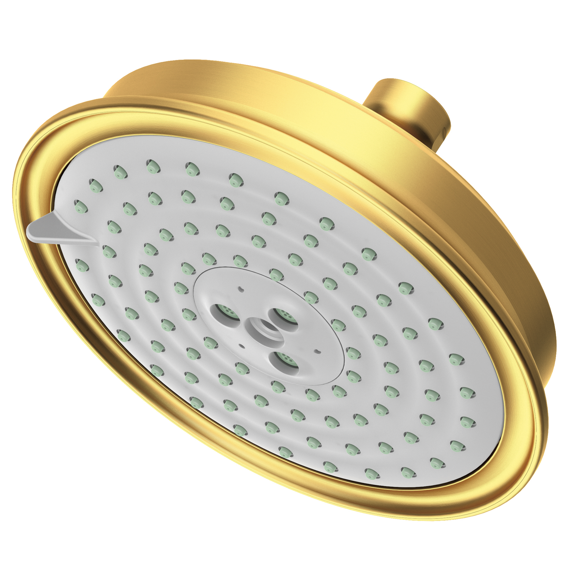 Newport Brass Other Multifunction Showerhead