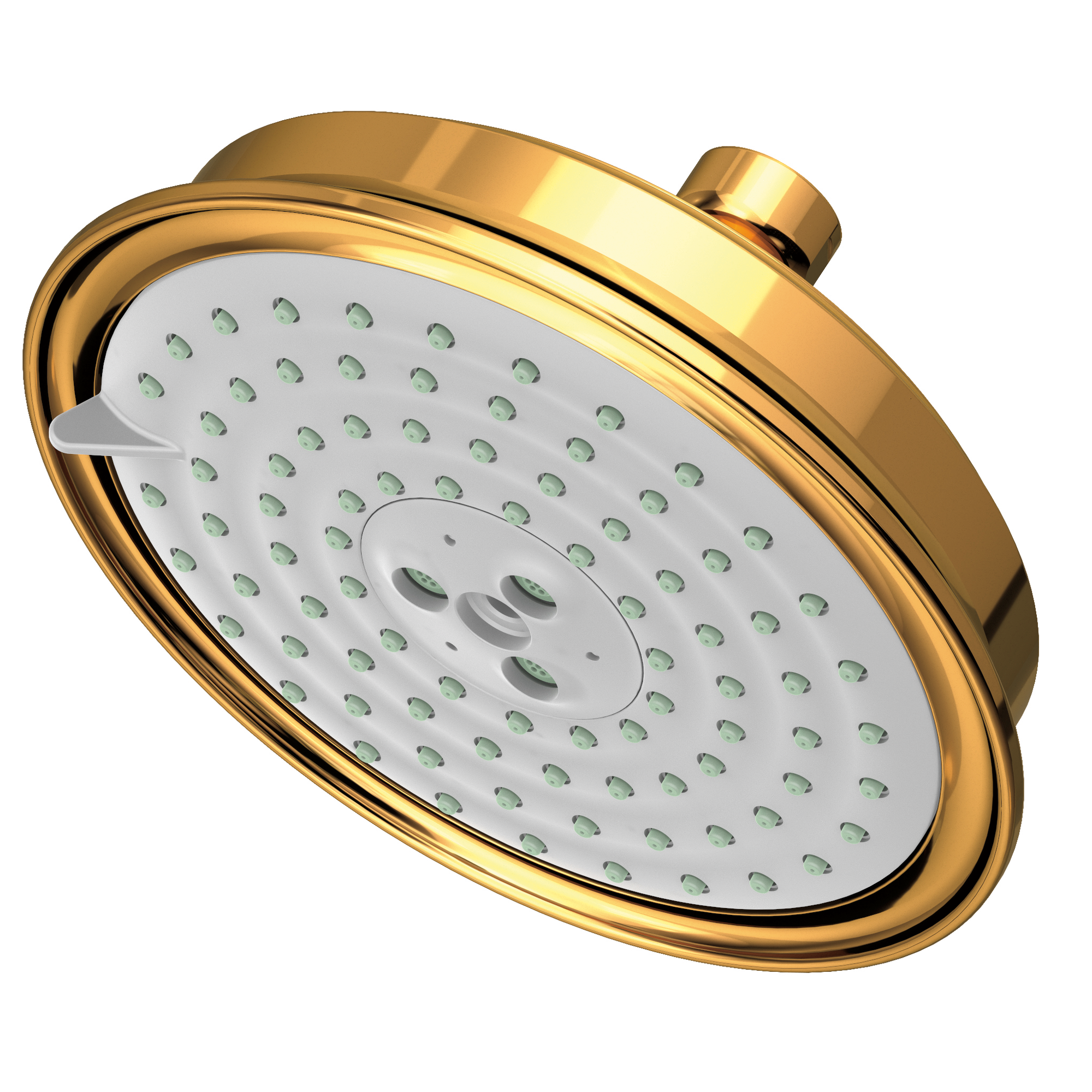 Newport Brass Other Multifunction Showerhead
