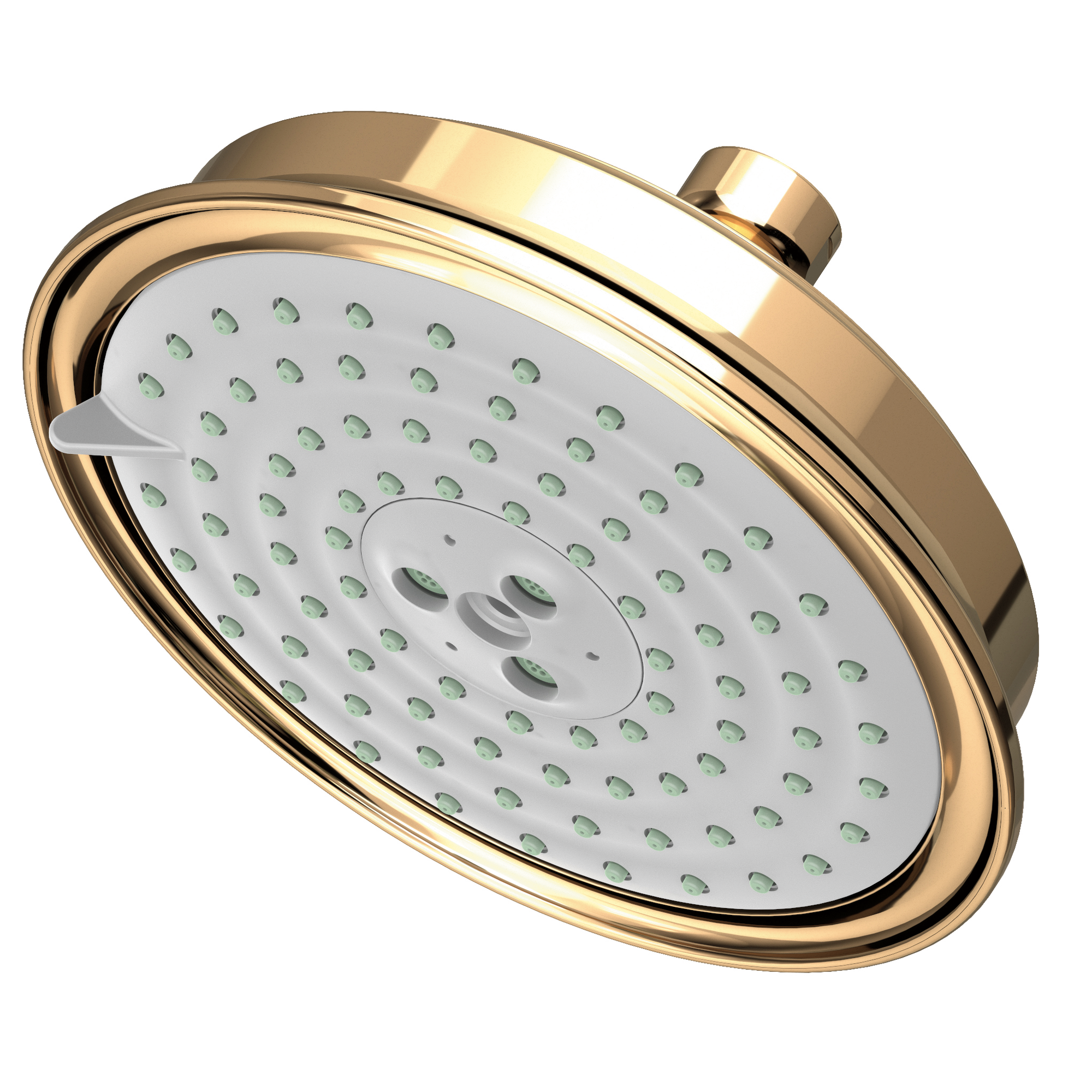 Newport Brass Other Multifunction Showerhead