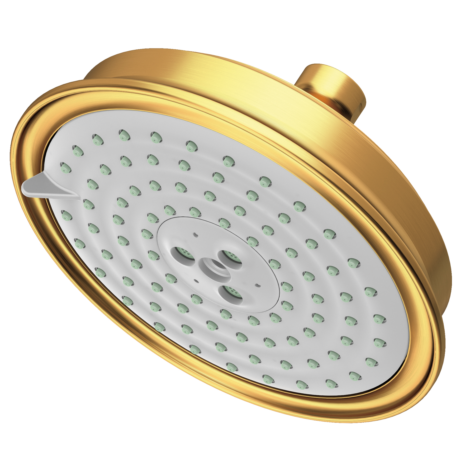 Newport Brass Other Multifunction Showerhead