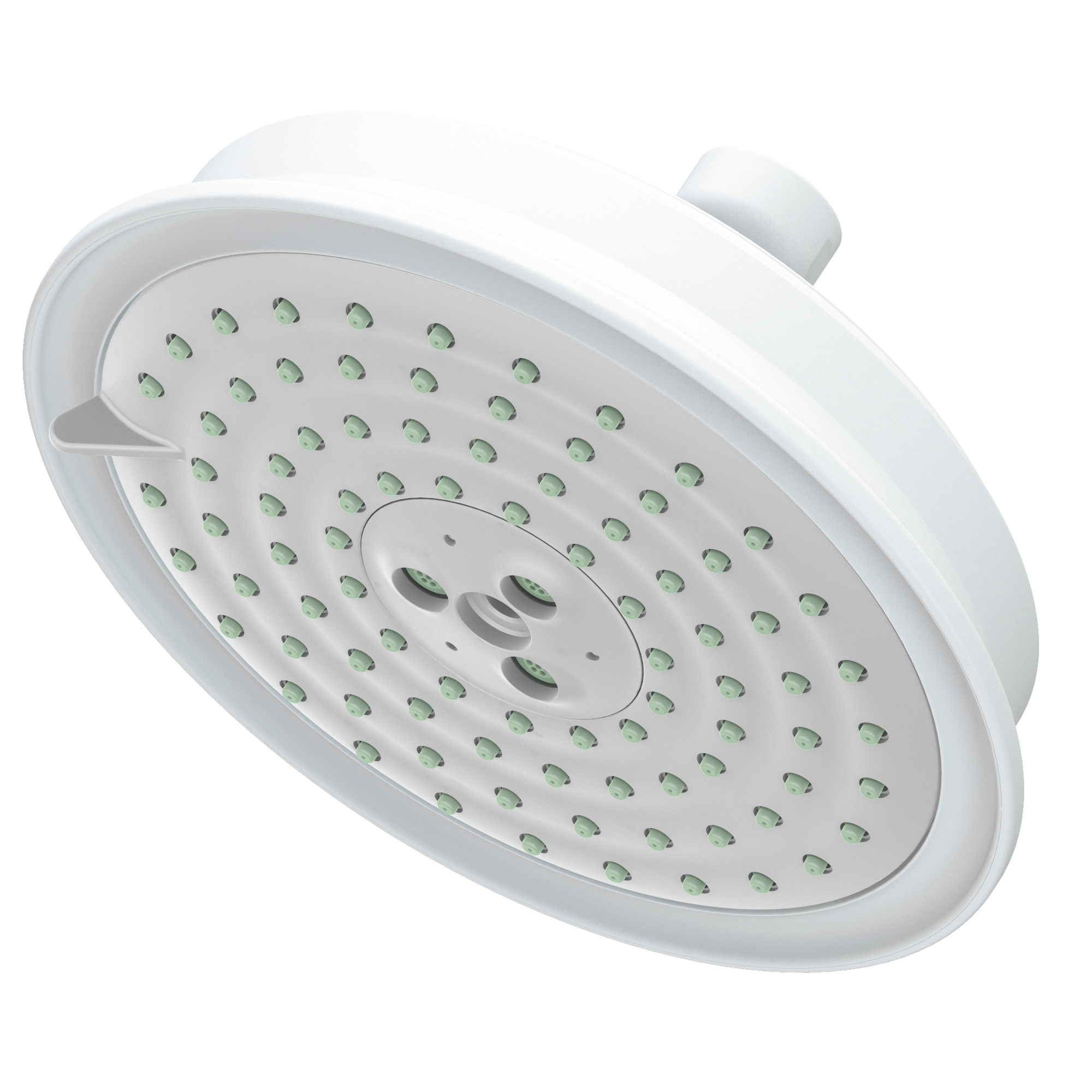 Newport Brass Other Multifunction Showerhead