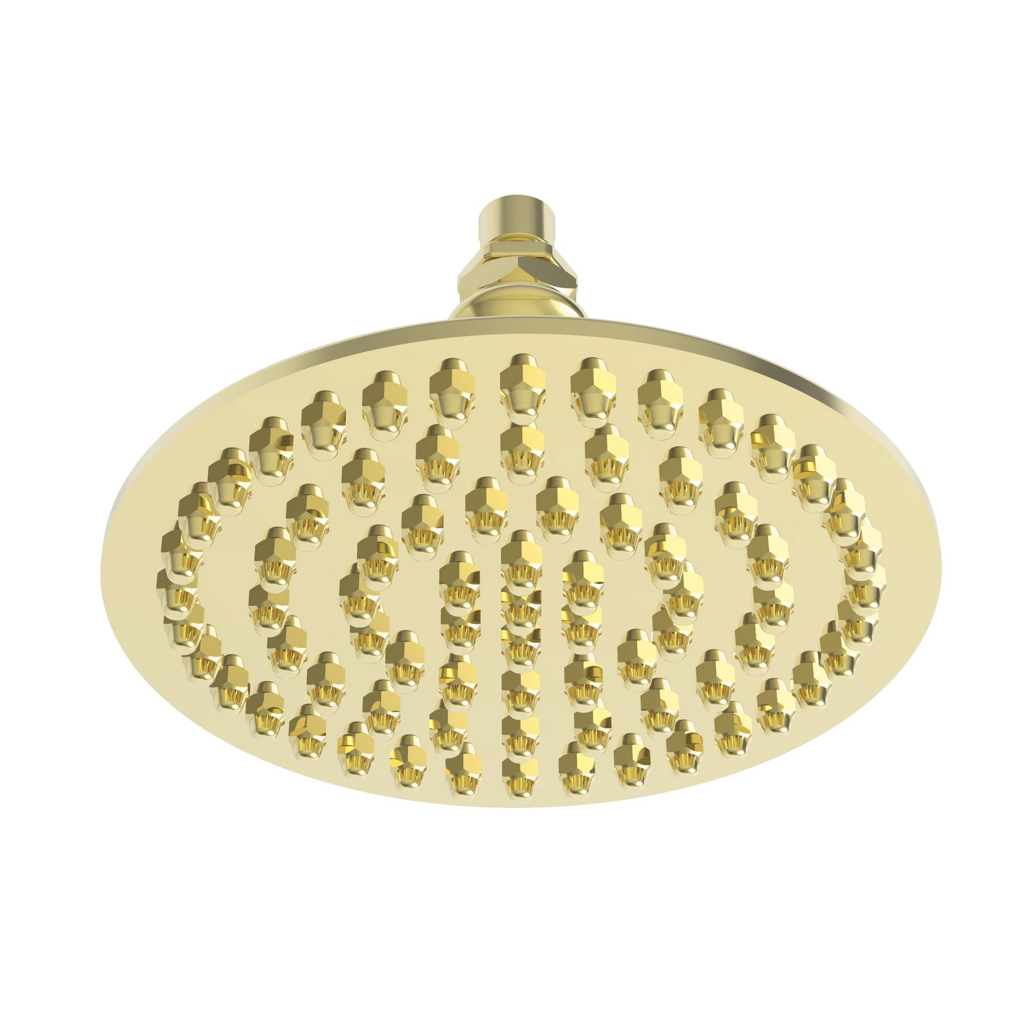 Newport Brass Other Single Function Shower Head