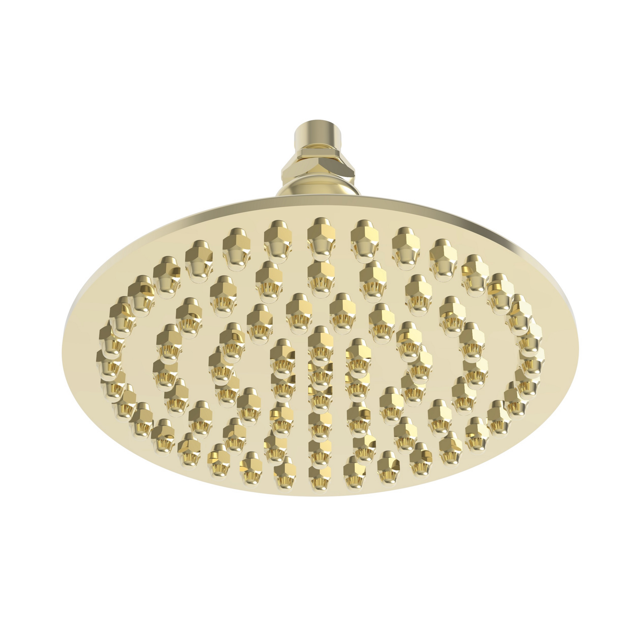 Newport Brass Other Single Function Shower Head