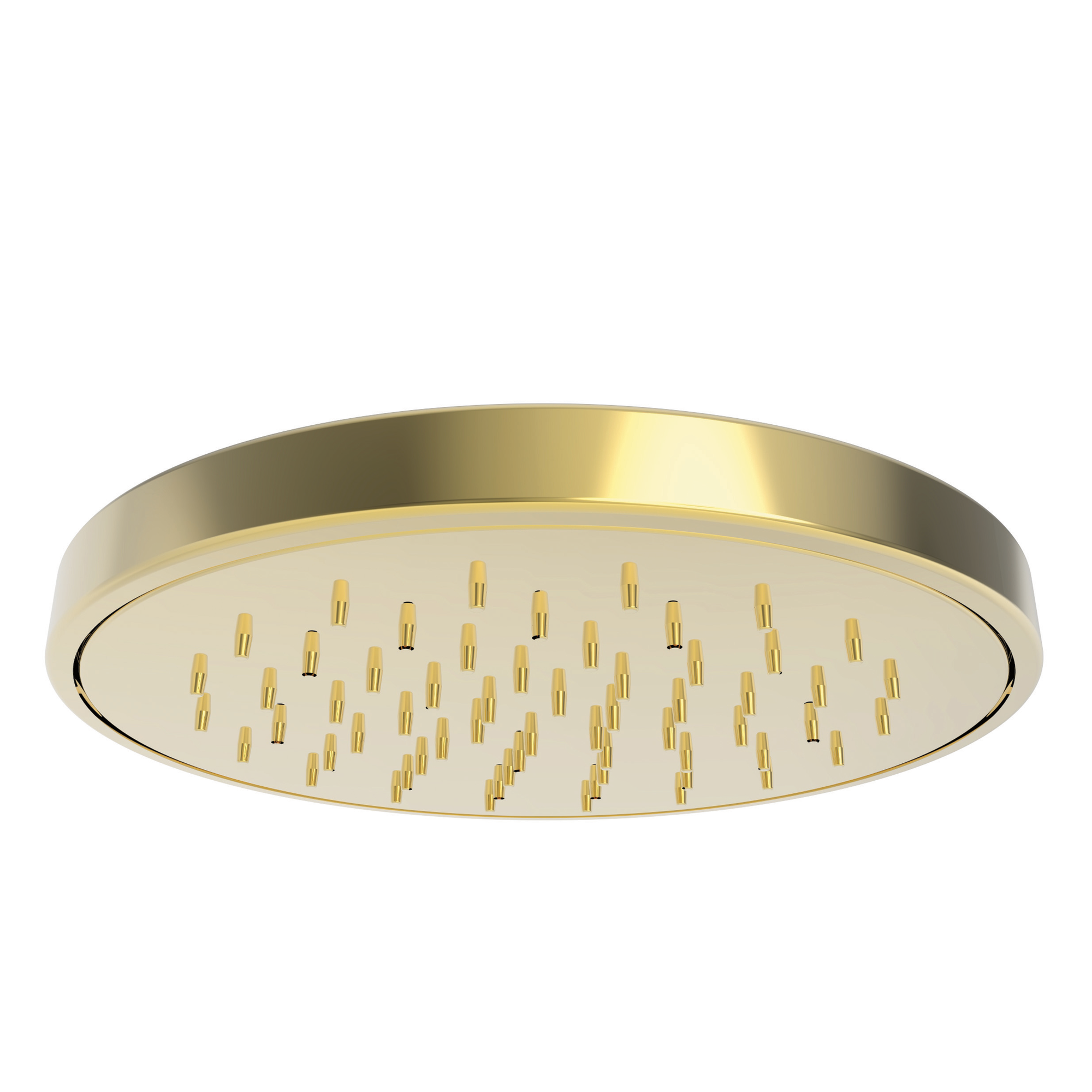 Newport Brass Other Rainfall Shower Head