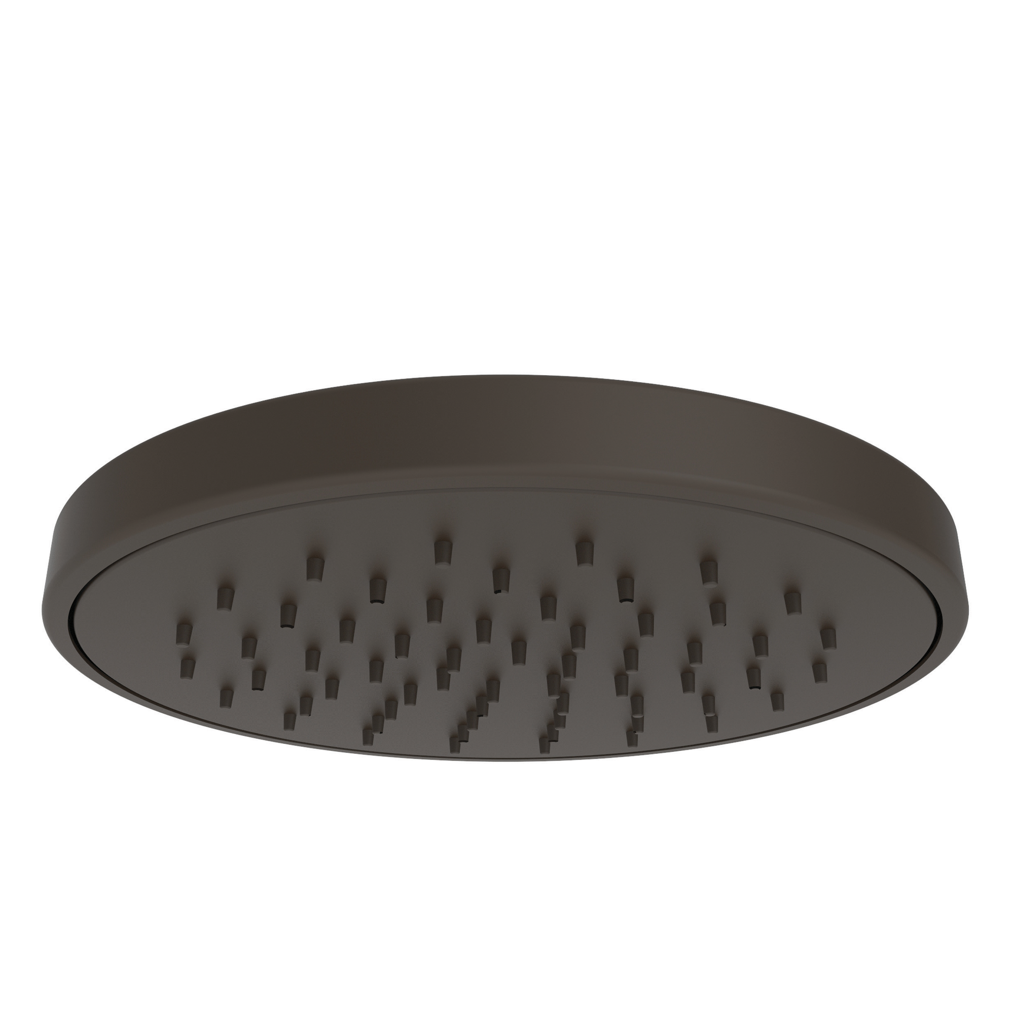 Newport Brass Other Rainfall Shower Head