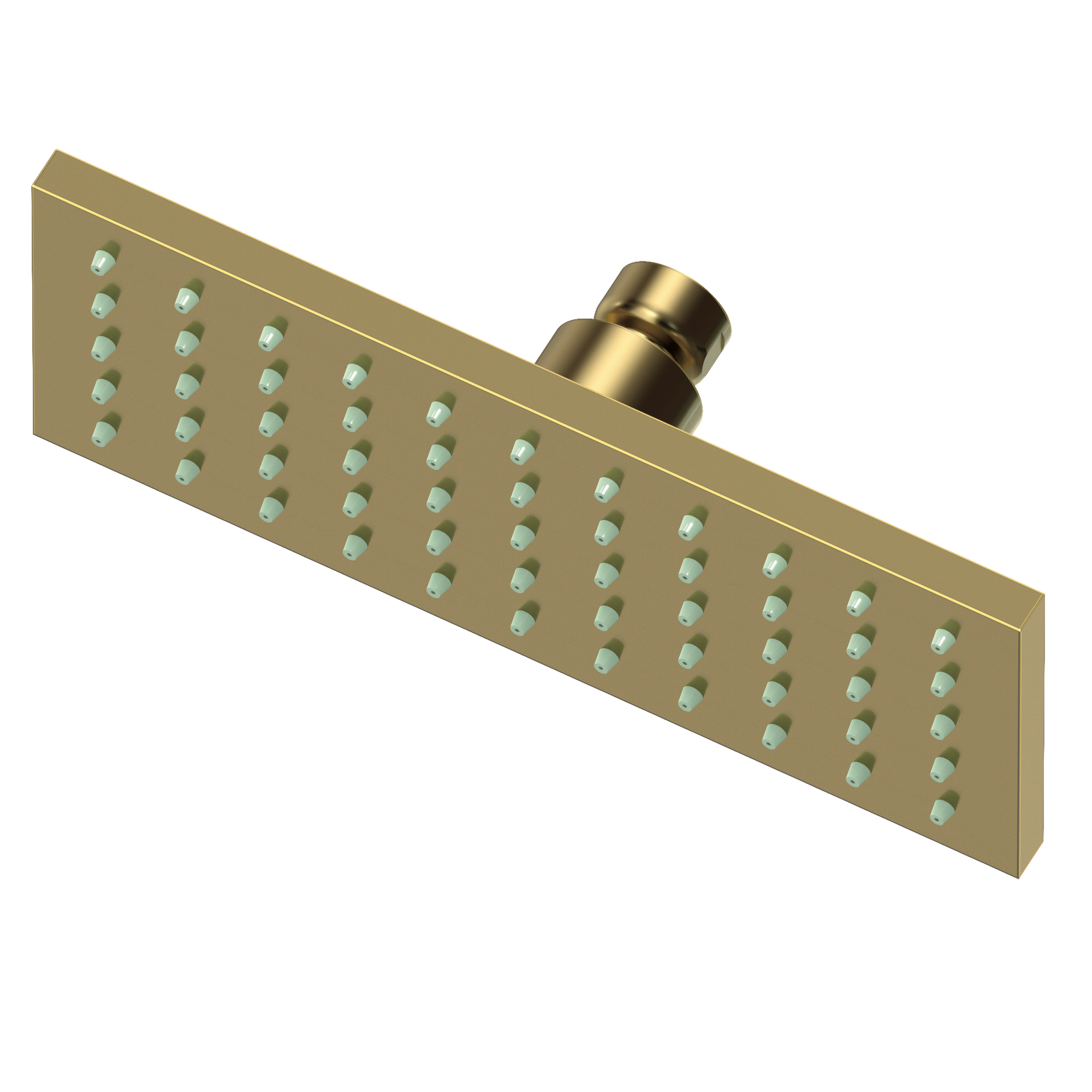 Newport Brass Other Single Function Shower Head