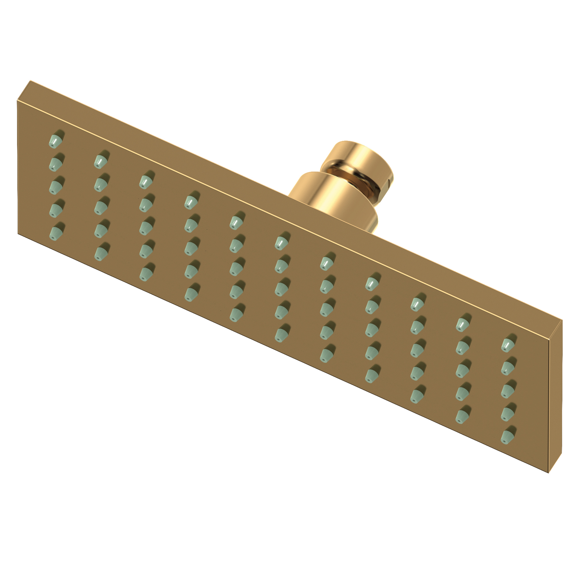 Newport Brass Other Single Function Shower Head