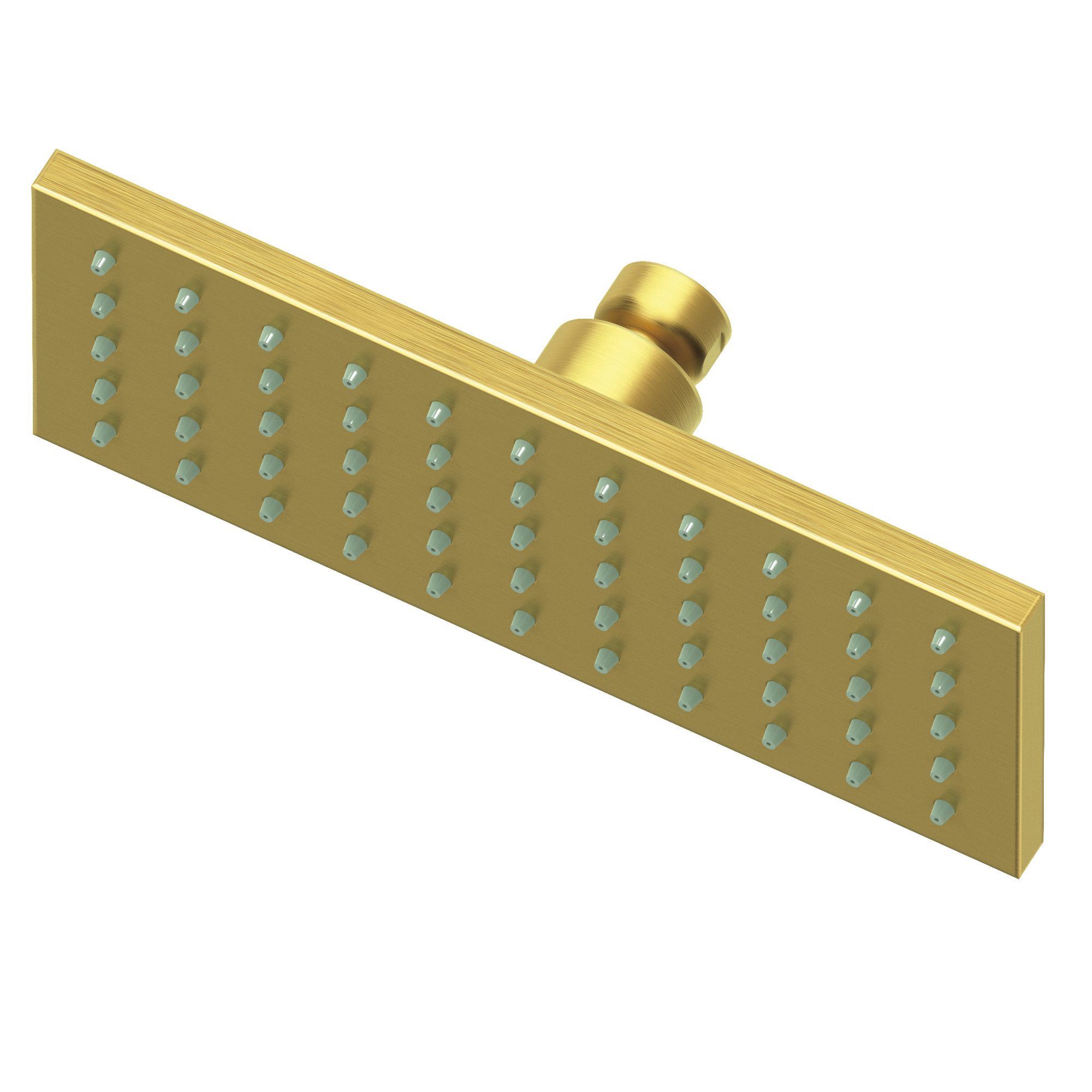 Newport Brass Other Single Function Shower Head