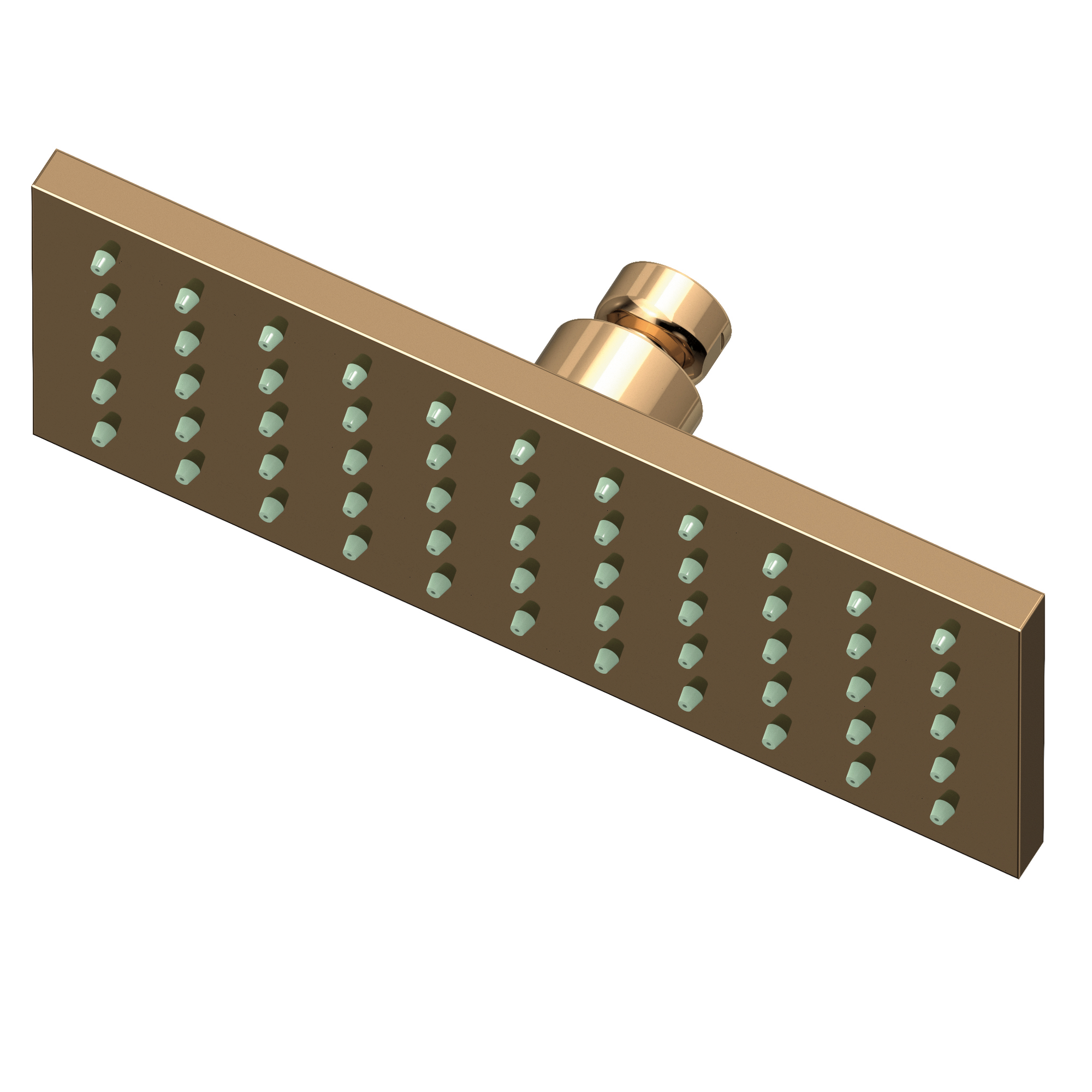 Newport Brass Other Single Function Shower Head