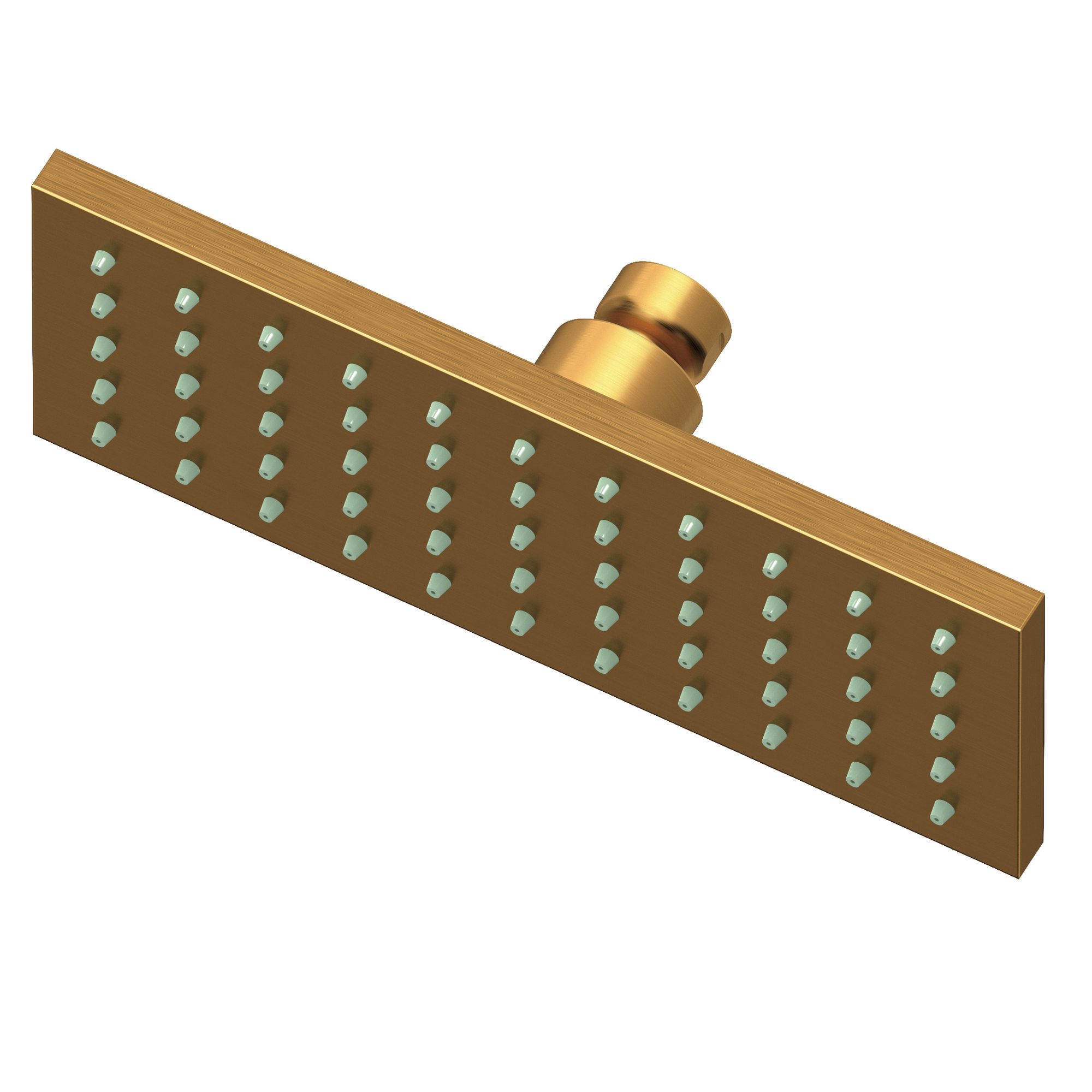 Newport Brass Other Single Function Shower Head
