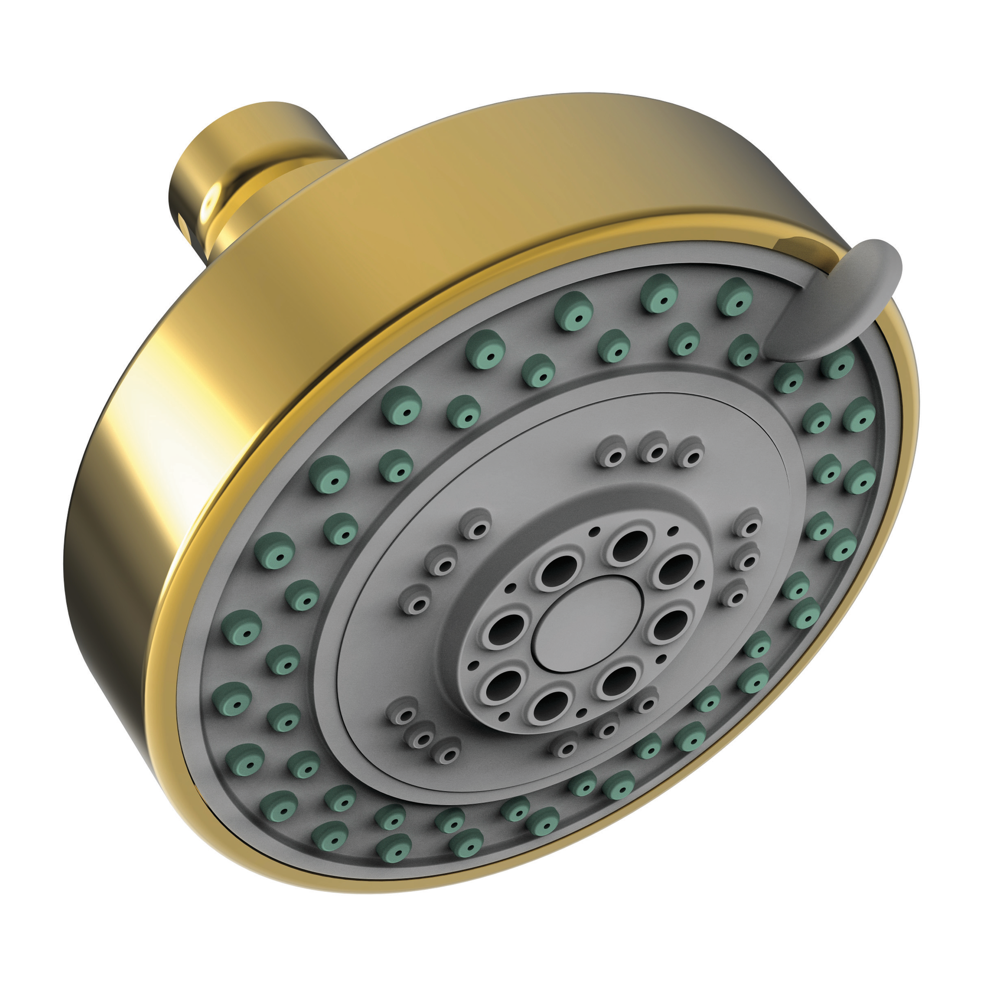 Newport Brass Other Multifunction Showerhead